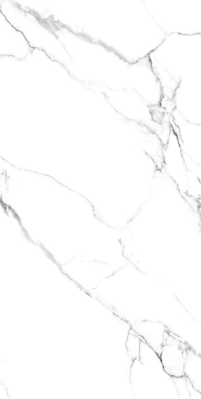 Calacatta Silver