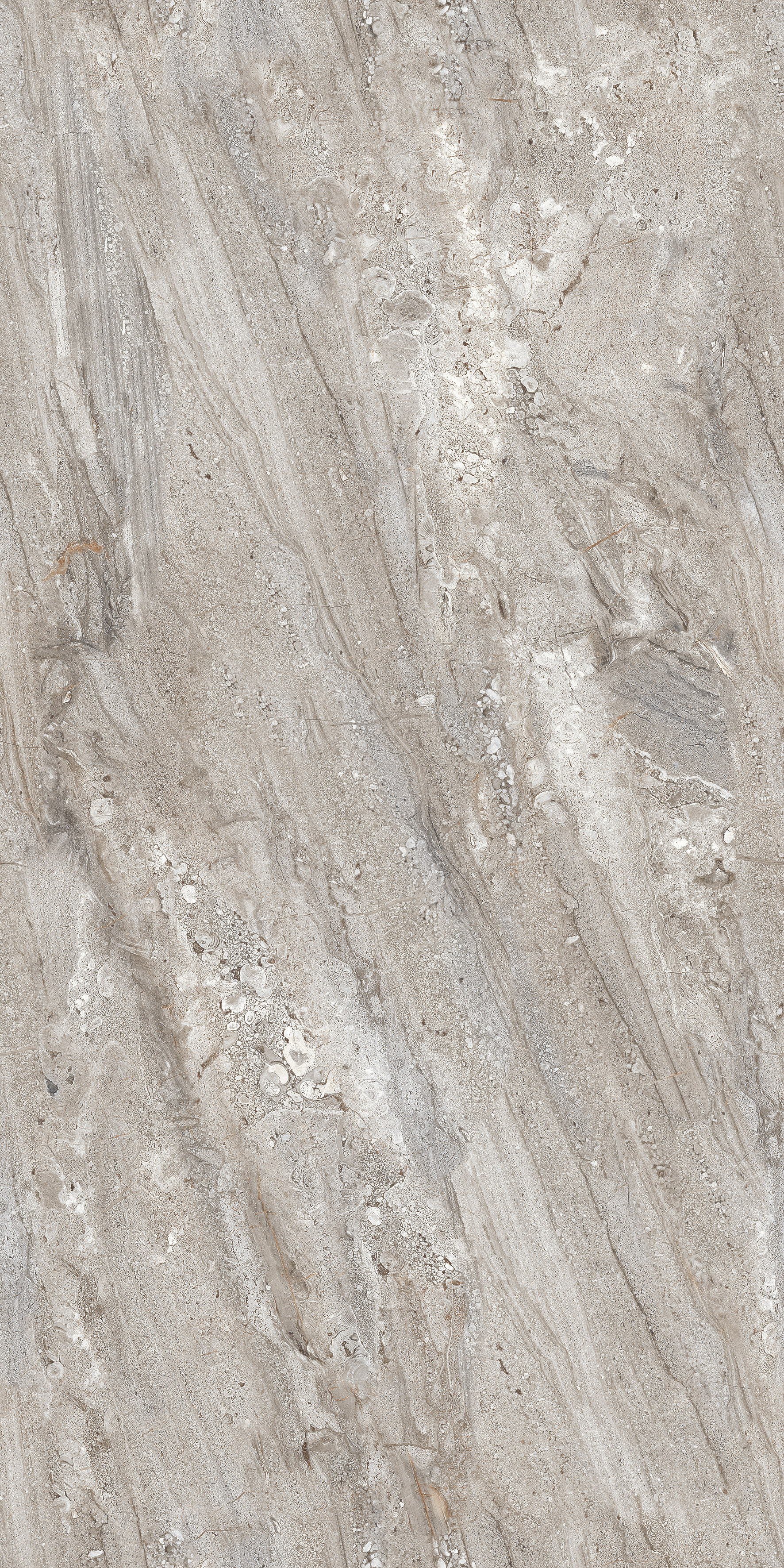 Gobi Grey - 1