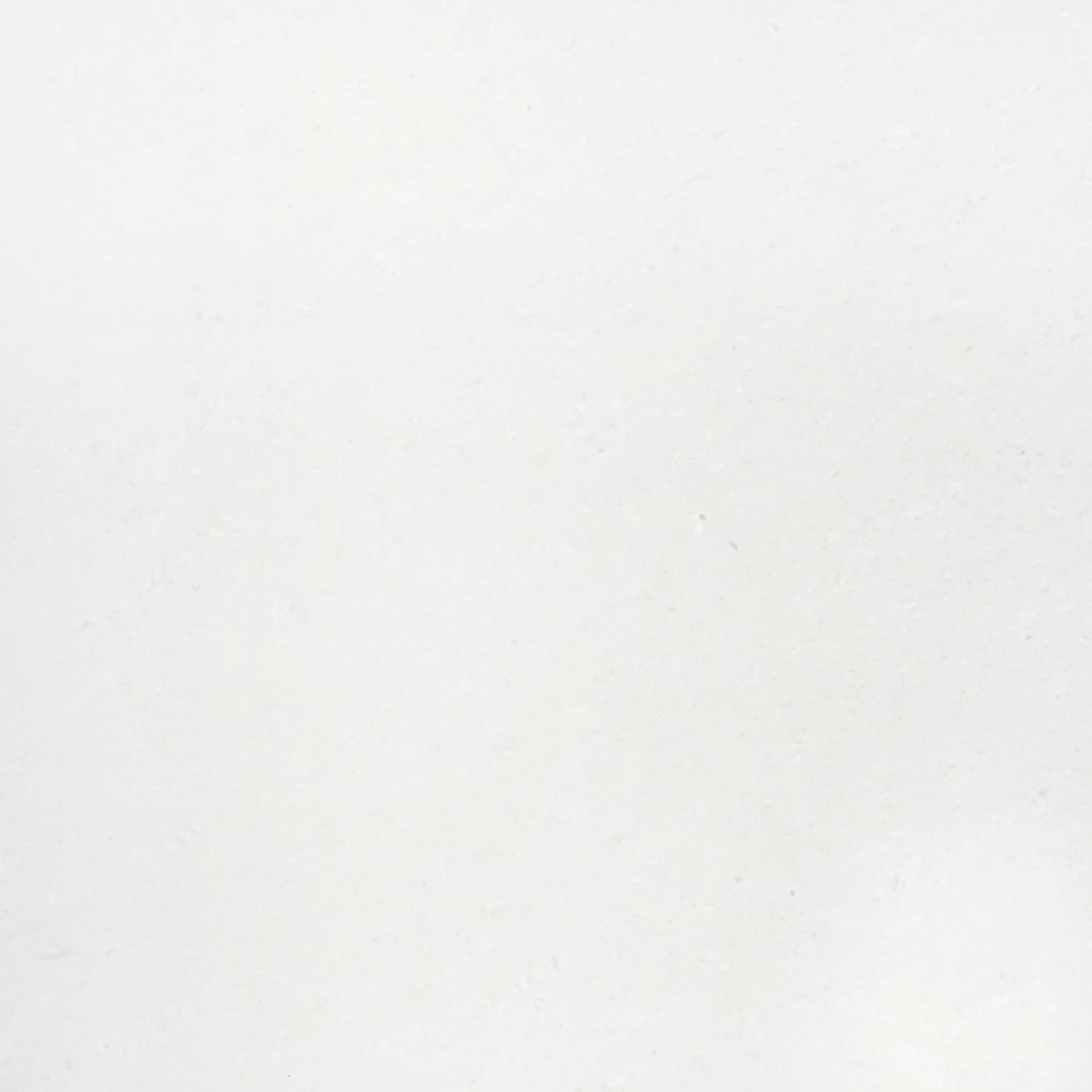 Arctic White