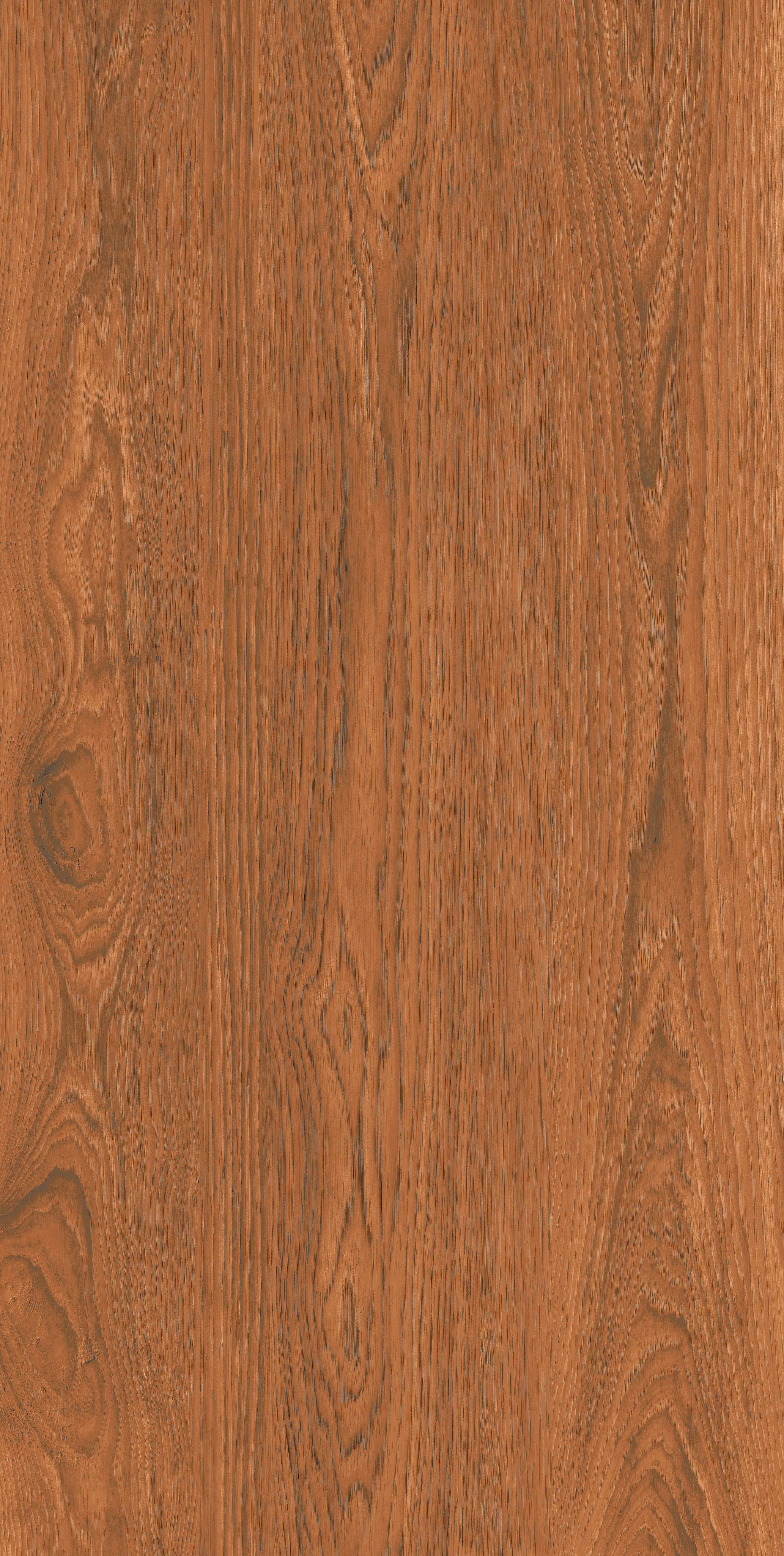 Segura Wood - 1