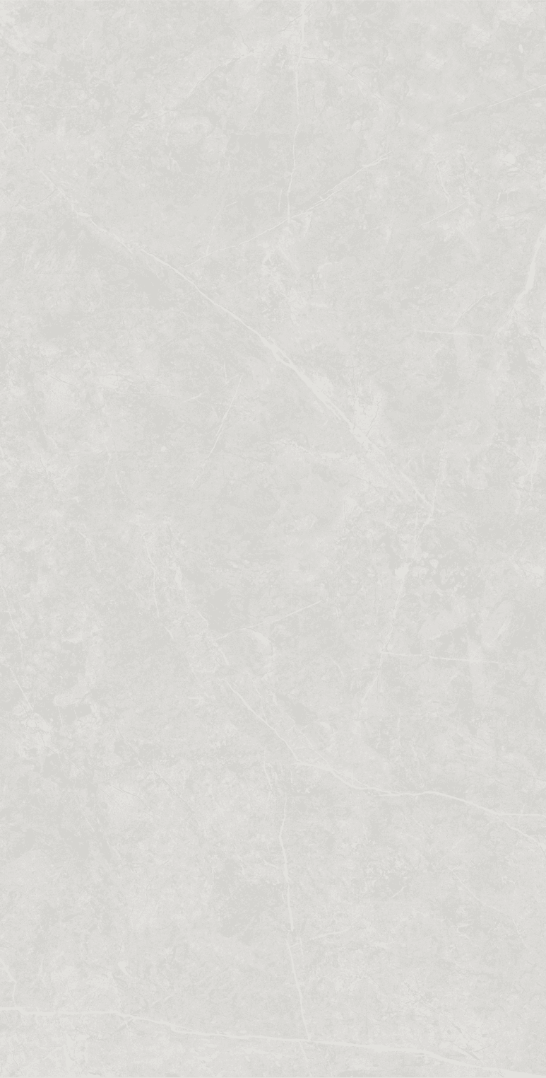 Anzio Light Grey slab 120 X 60 CM 1