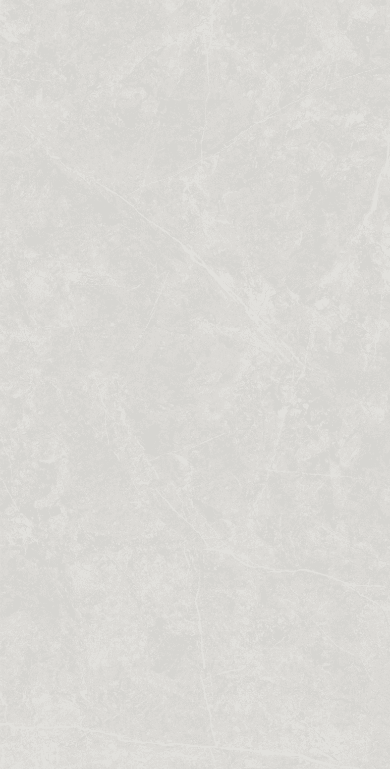 Anzio Light Grey slab 120 X 60 CM 5