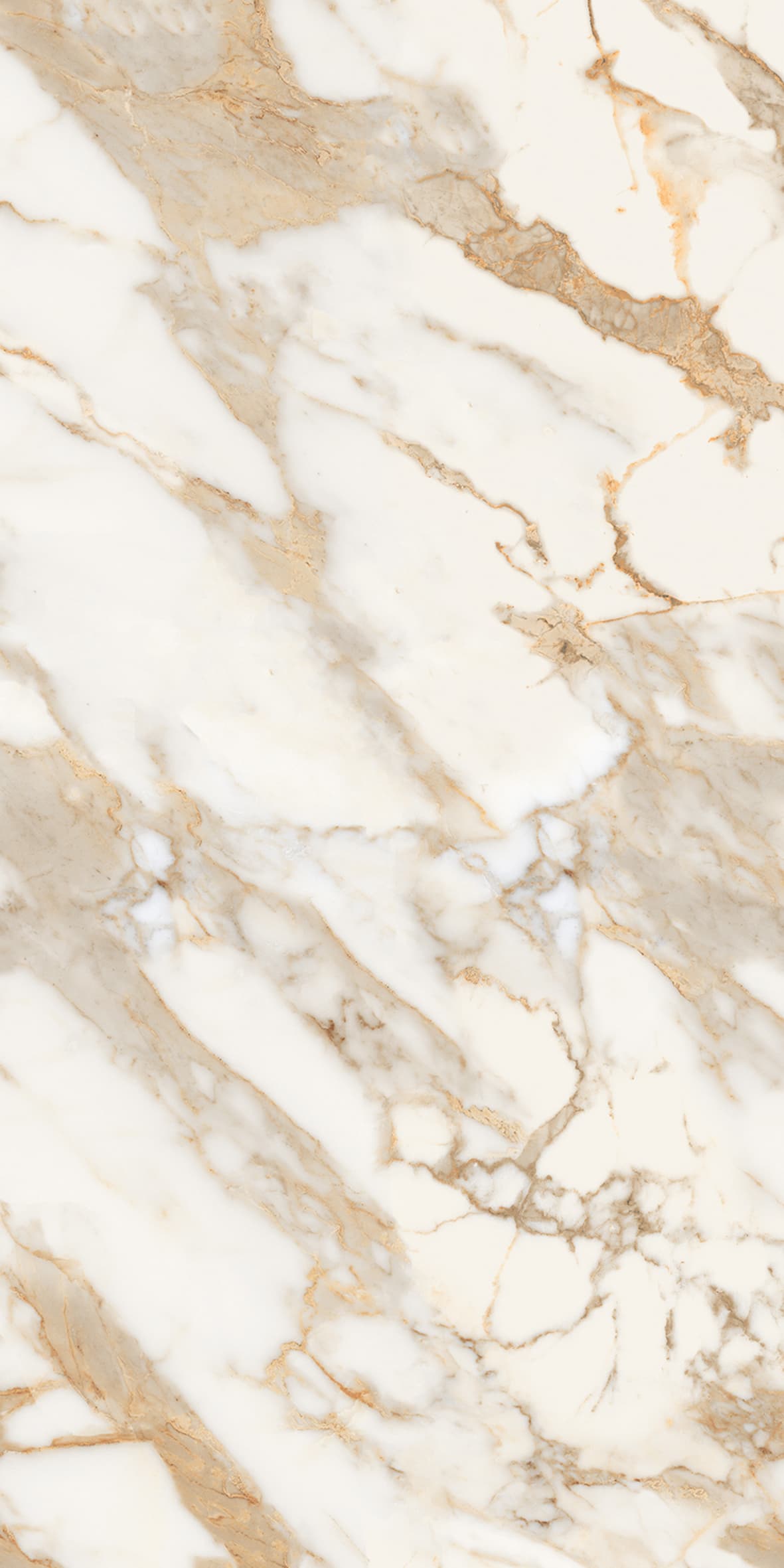 Alpine Gold slab 60 X 120 CM 7
