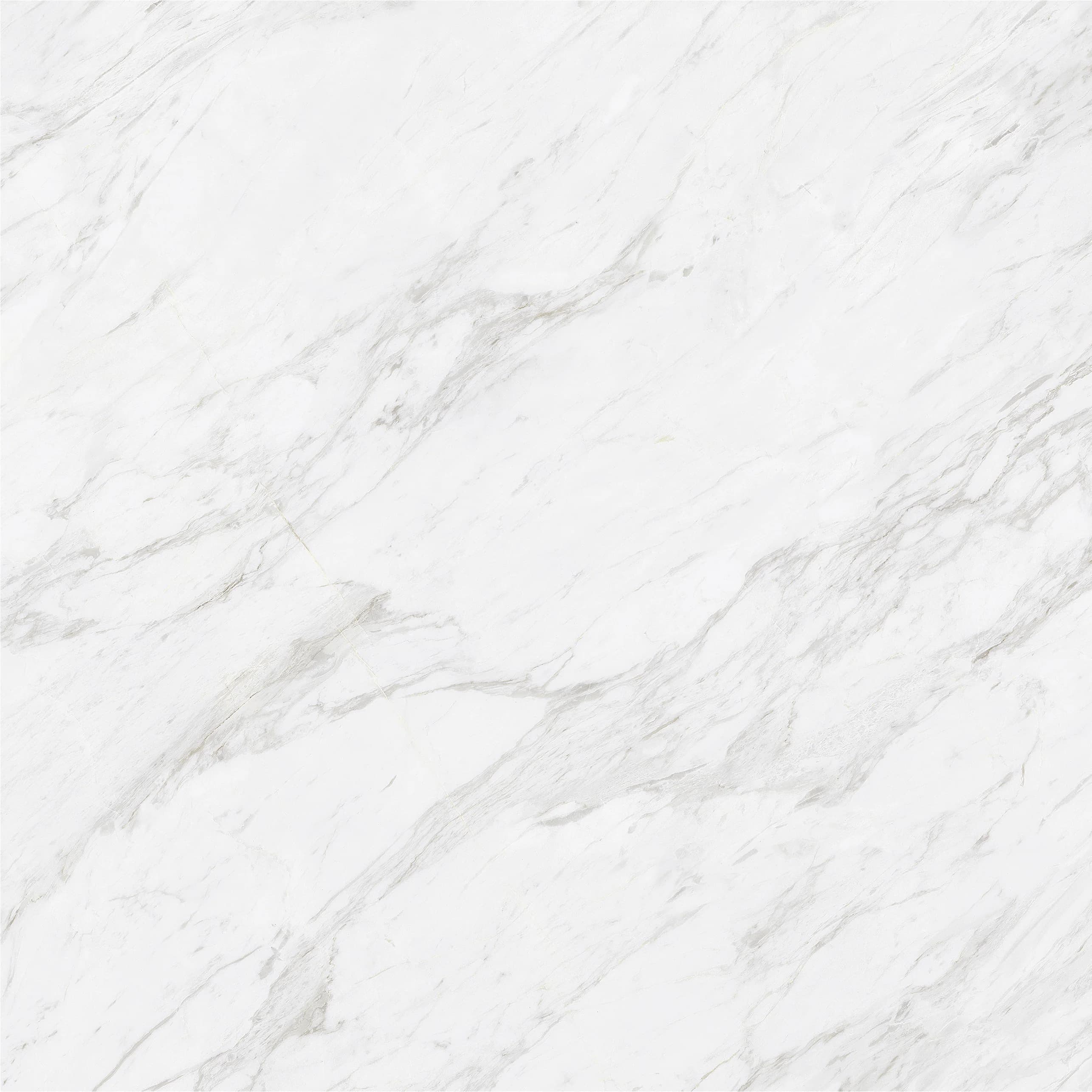 Carrara Bianco slab 80 X 80 CM 4