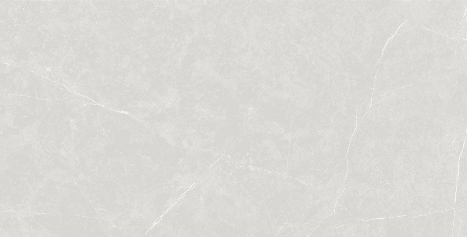 Anzio Light Grey slab 60 X 120 CM 4