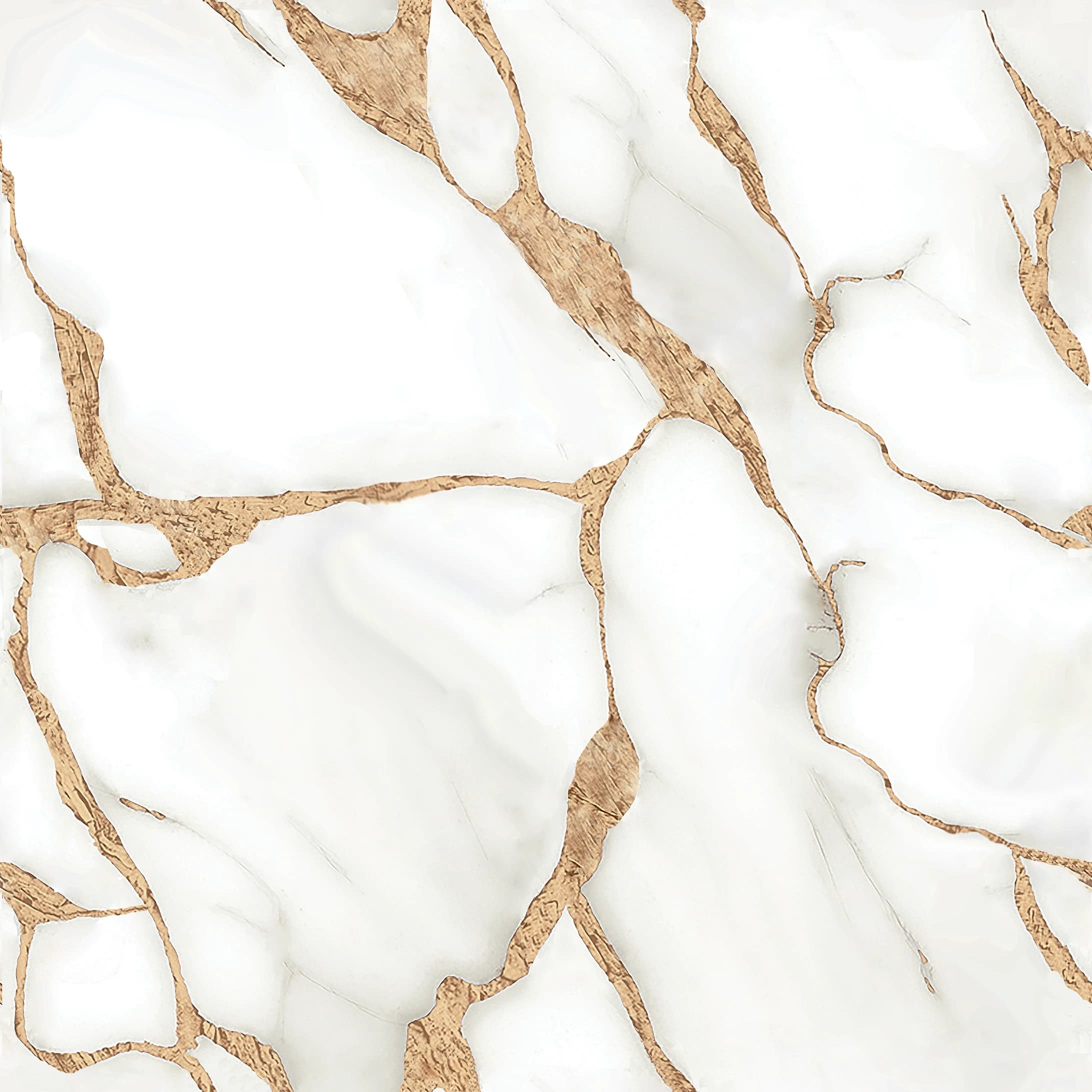 Royce Bianco slab 60 X 60 CM 2