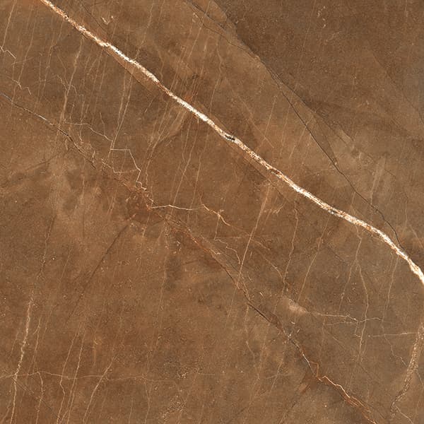 Orobico Brown slab 60 X 60 CM 5