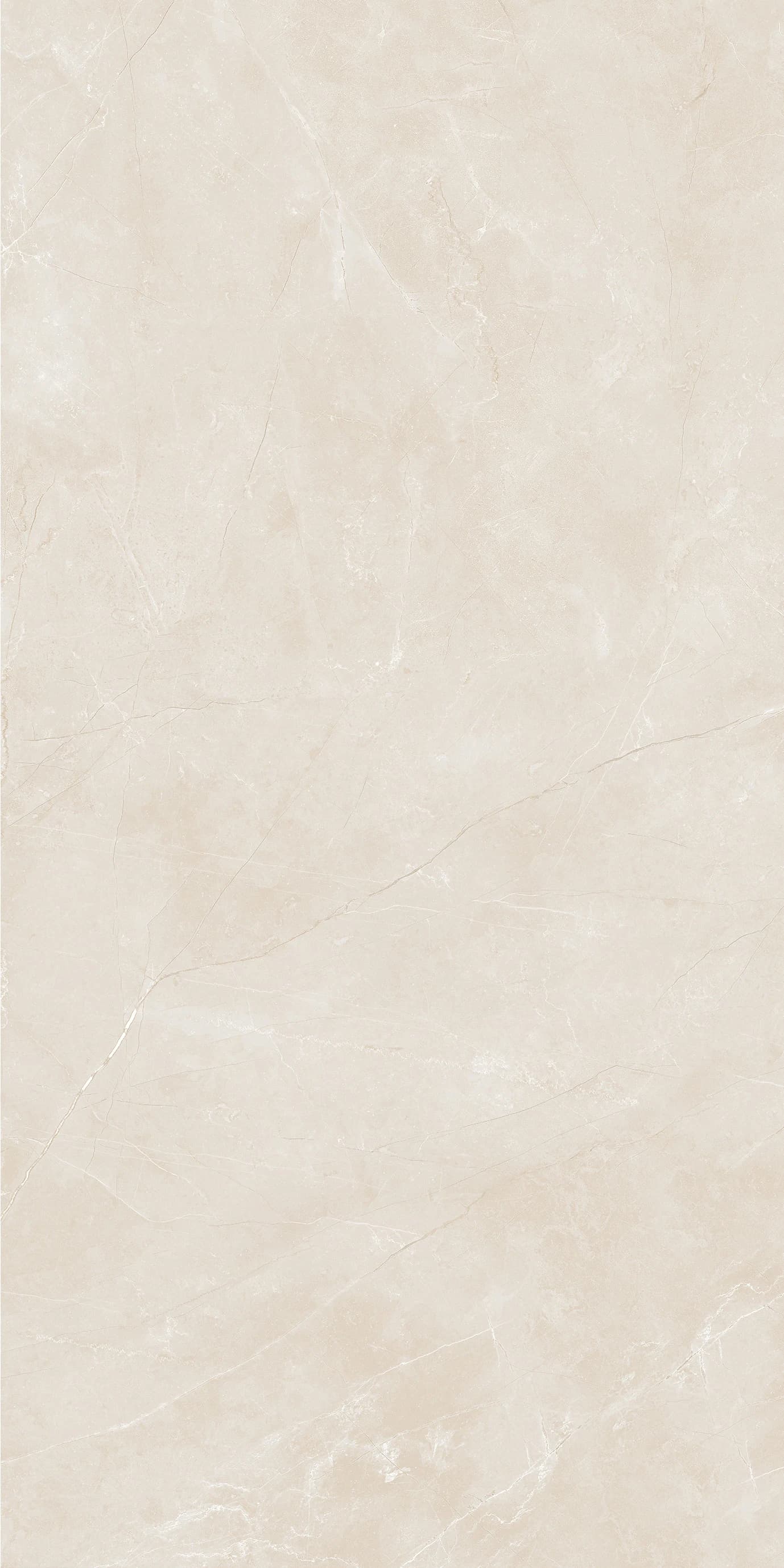 Savana Cream slab 60 X 120 CM 3