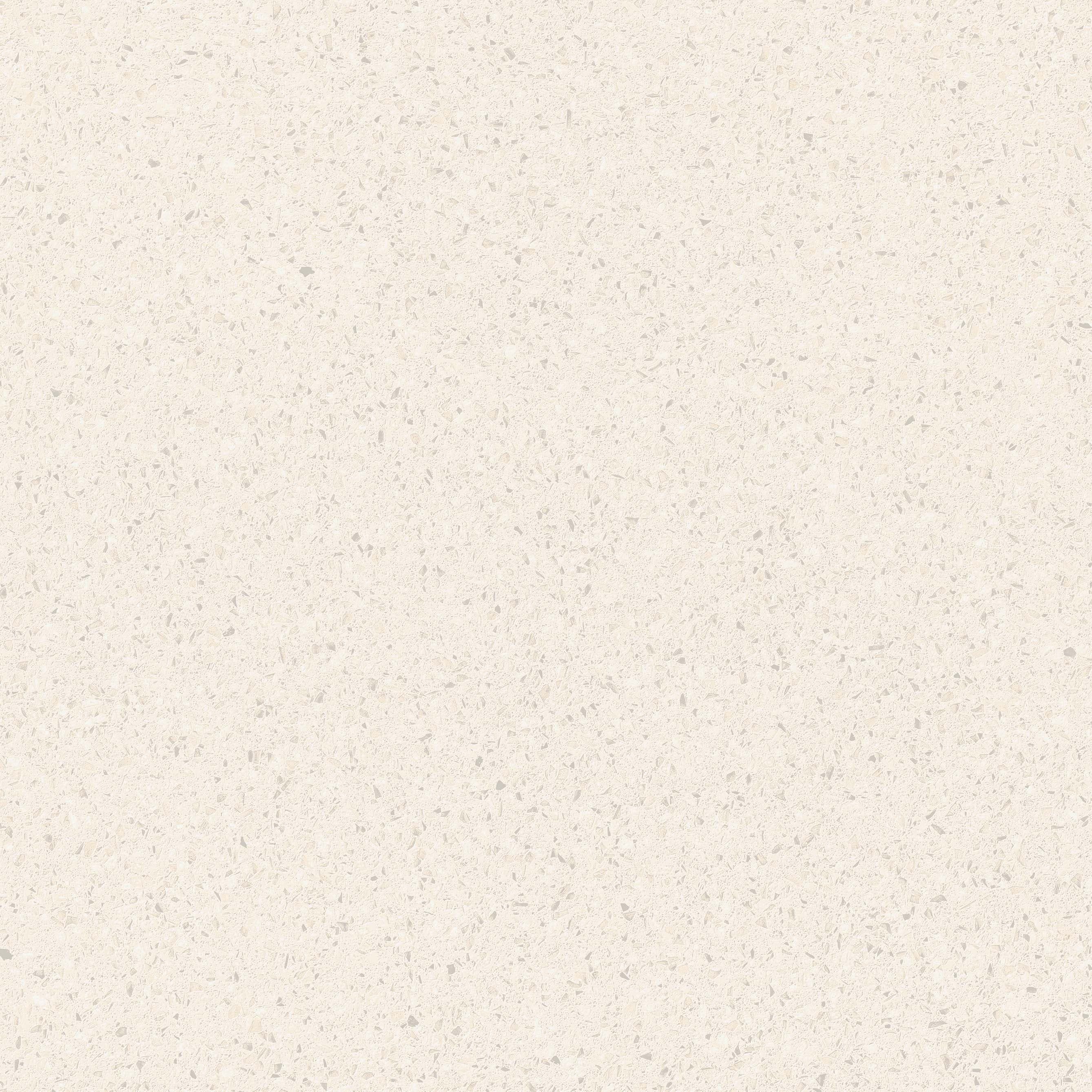 Granite Bianco slab 60 X 60 CM 6