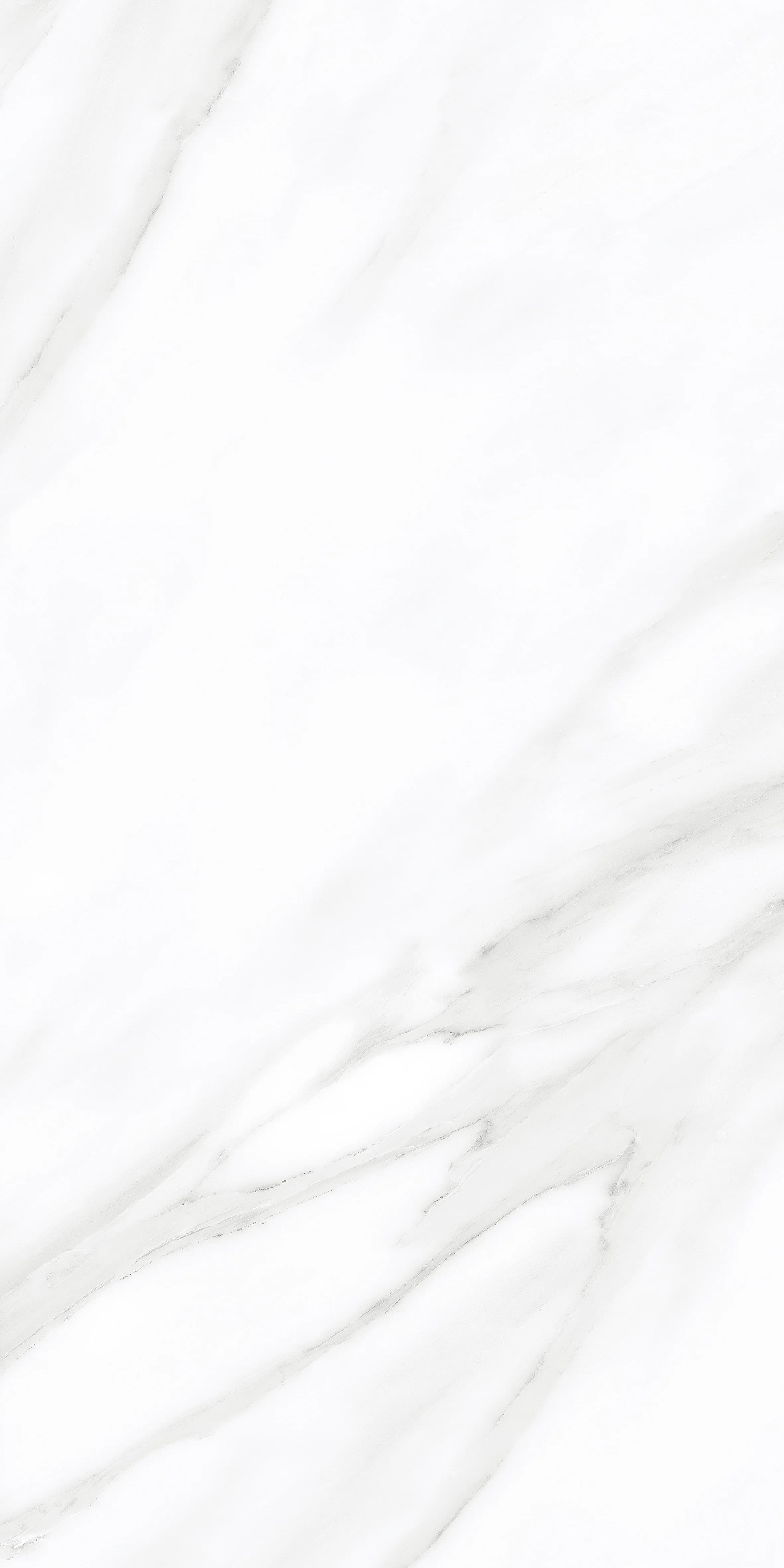 Eider White slab 30 X 60 CM 5