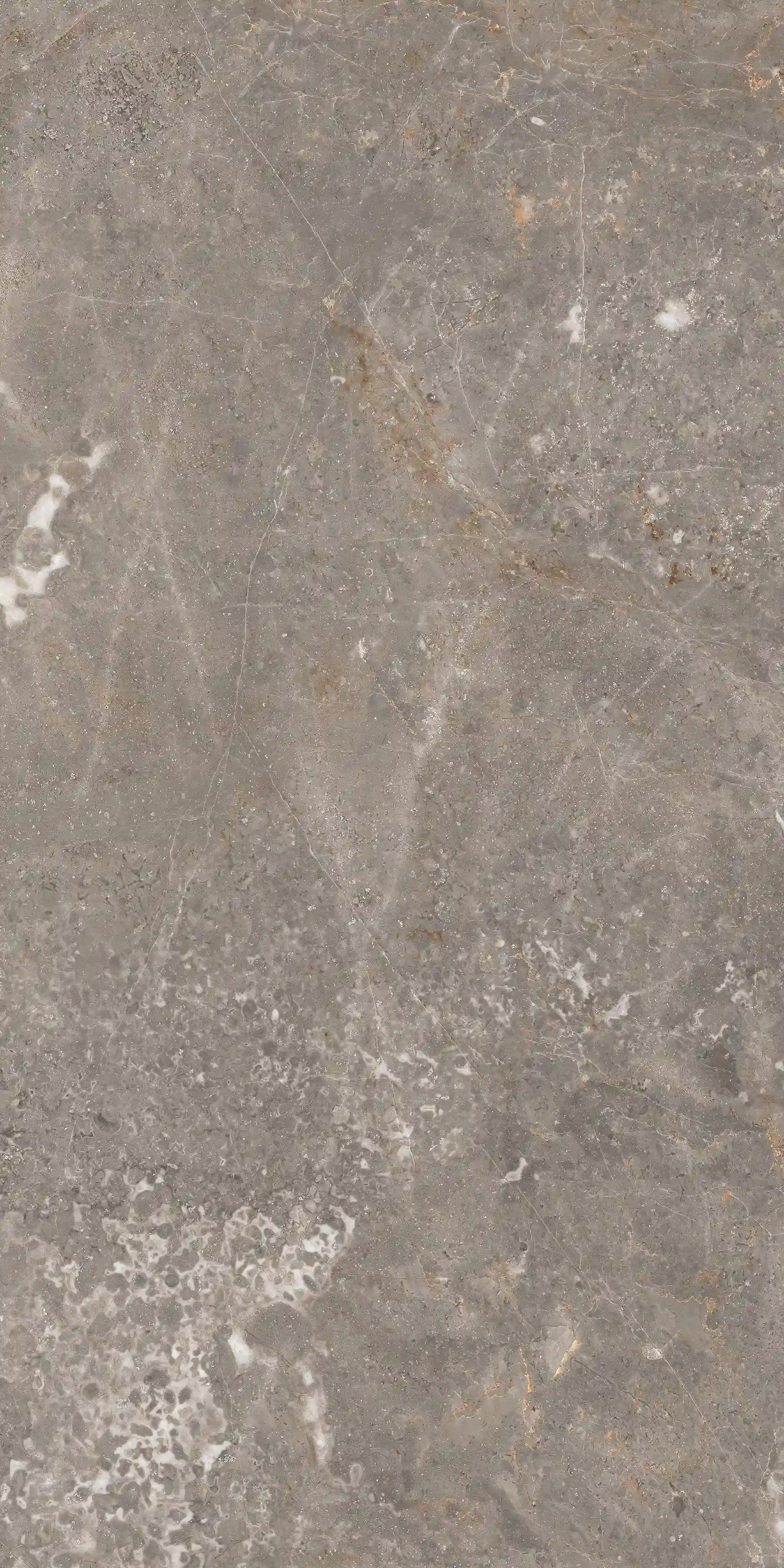 Aldo Grey slab 60 X 120 CM 1