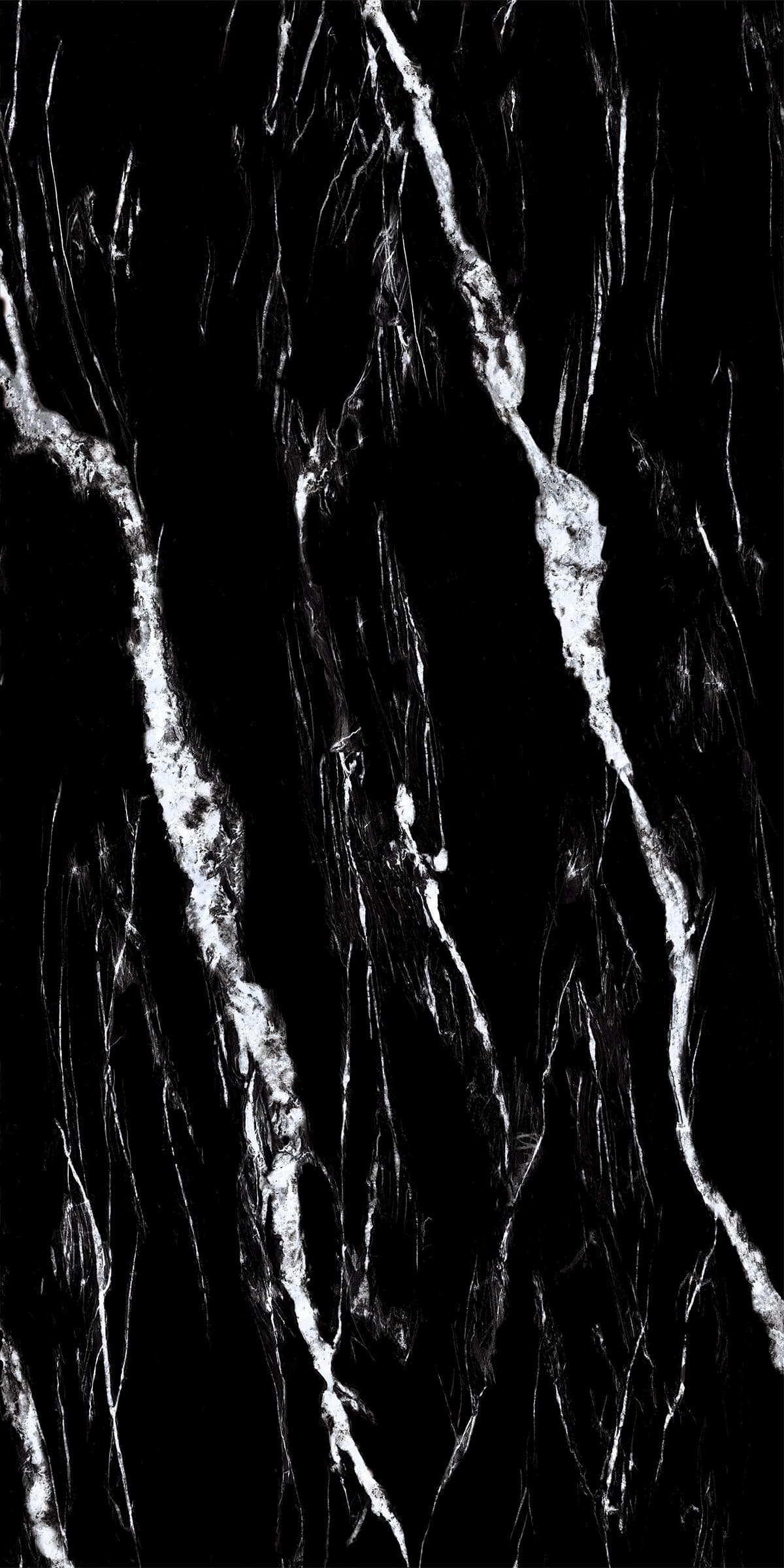 Devonian Black slab 240 X 120 CM 2