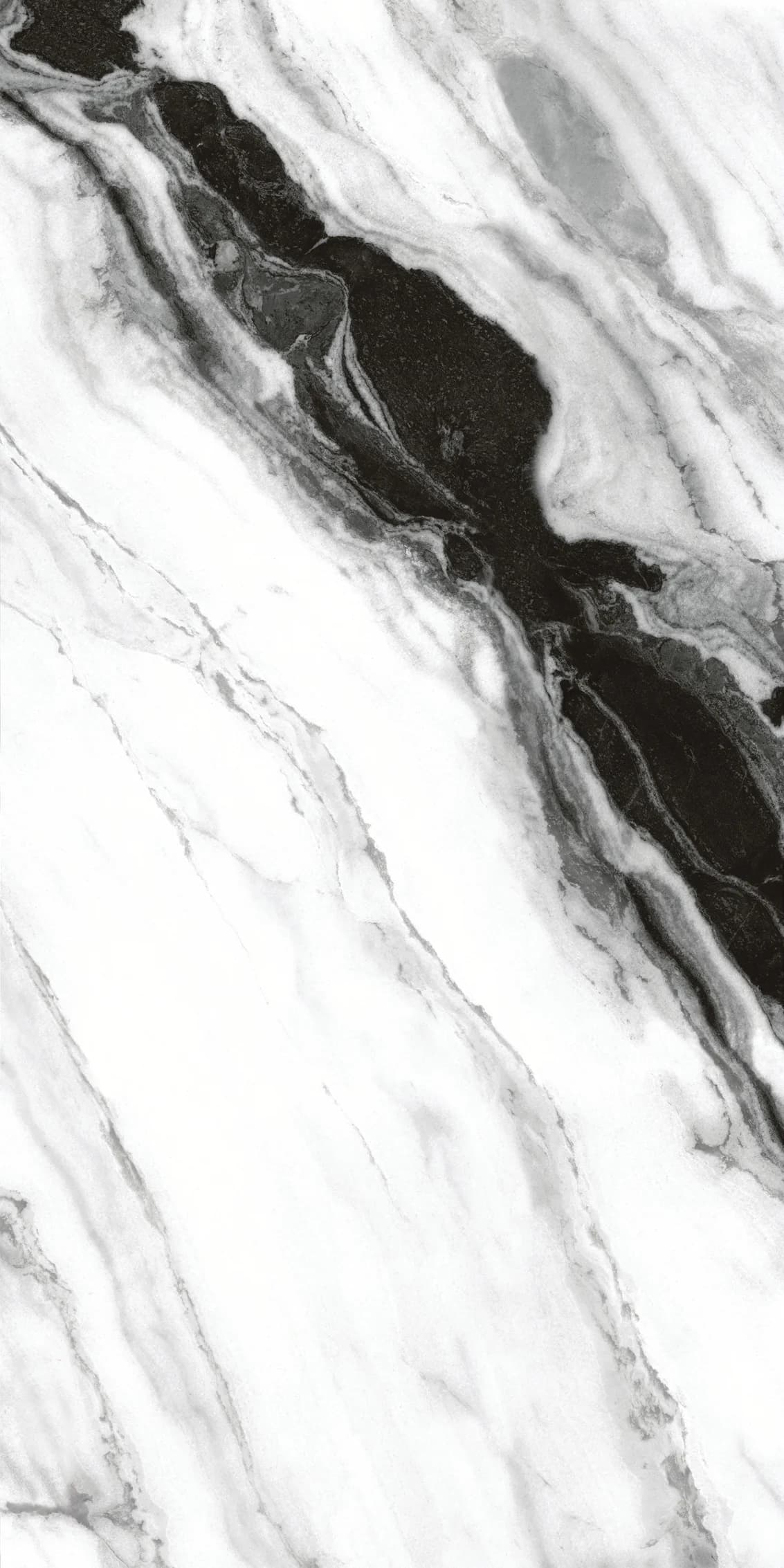 Carrara Nero slab 60 X 120 CM 4
