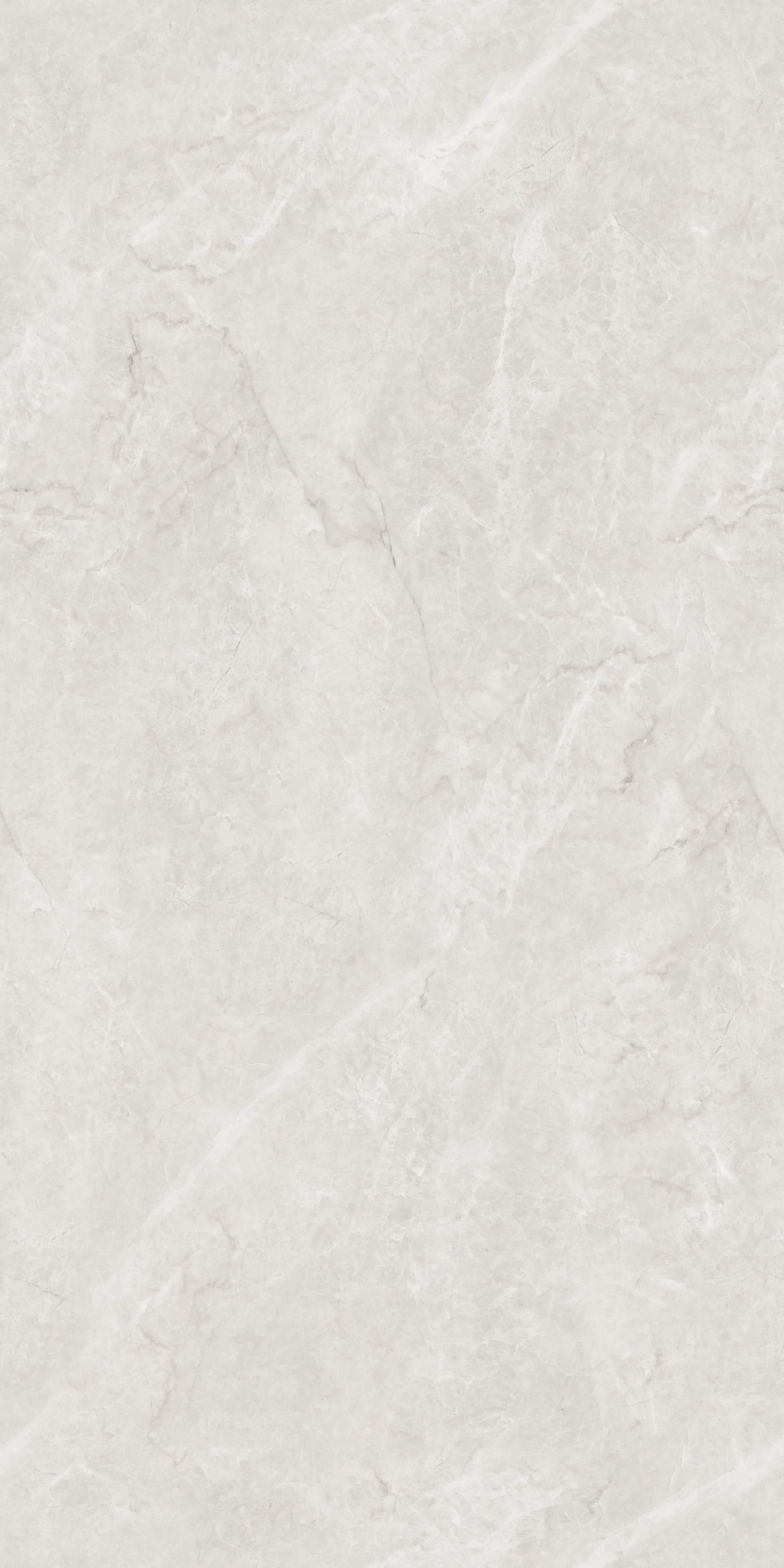Coropuna Grey slab 60 X 120 CM 4