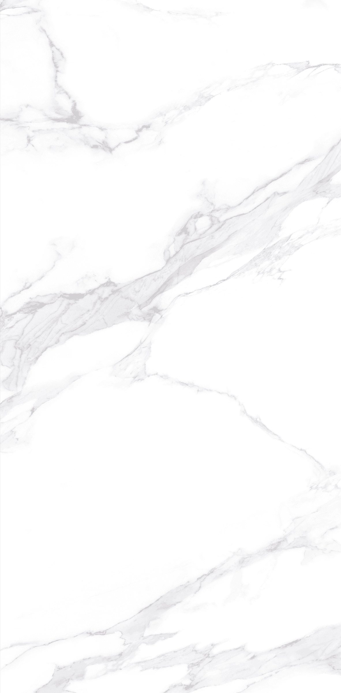Belluno White slab 120 X 240 CM 2