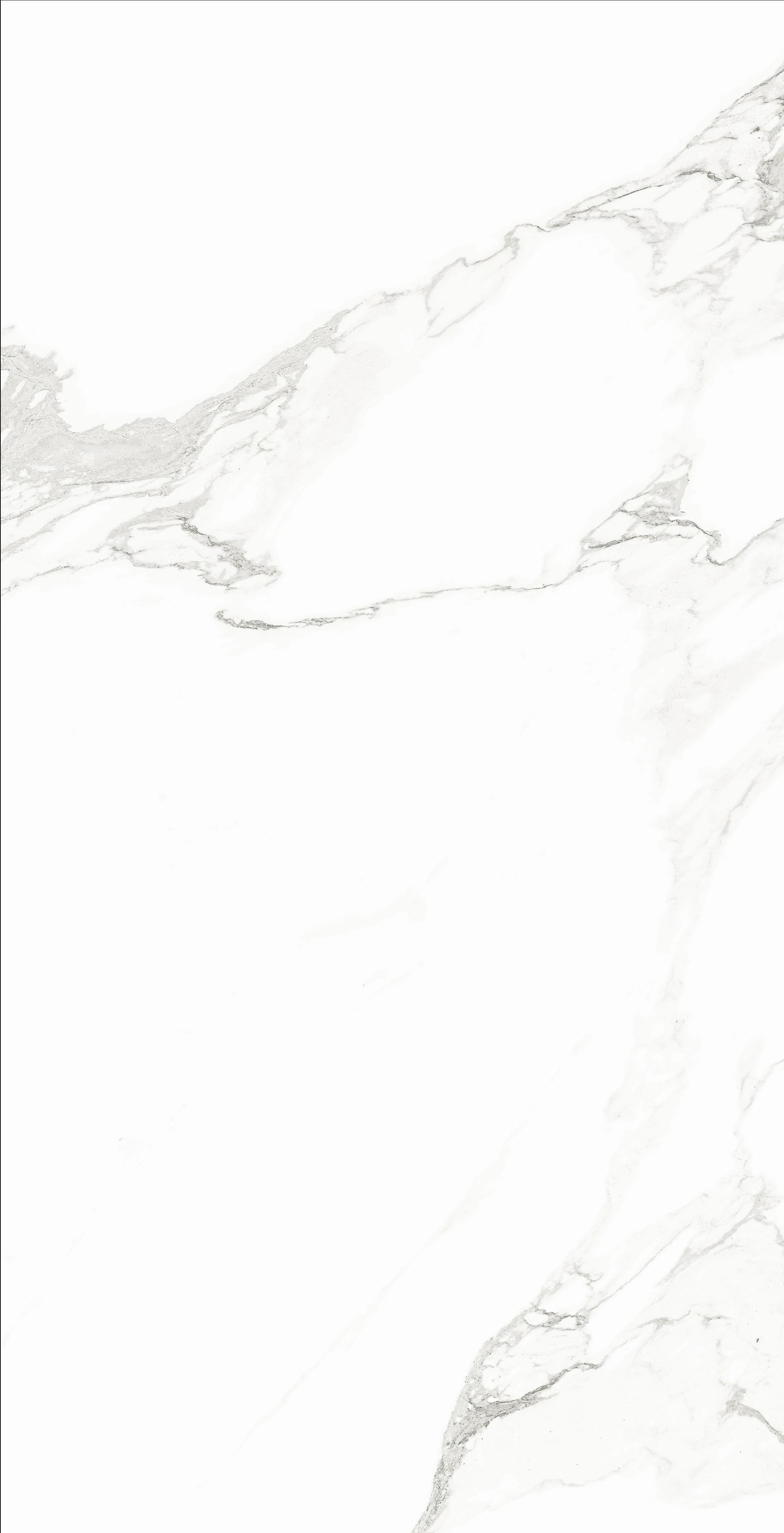 Classico Statuario slab 60 X 120 CM 1