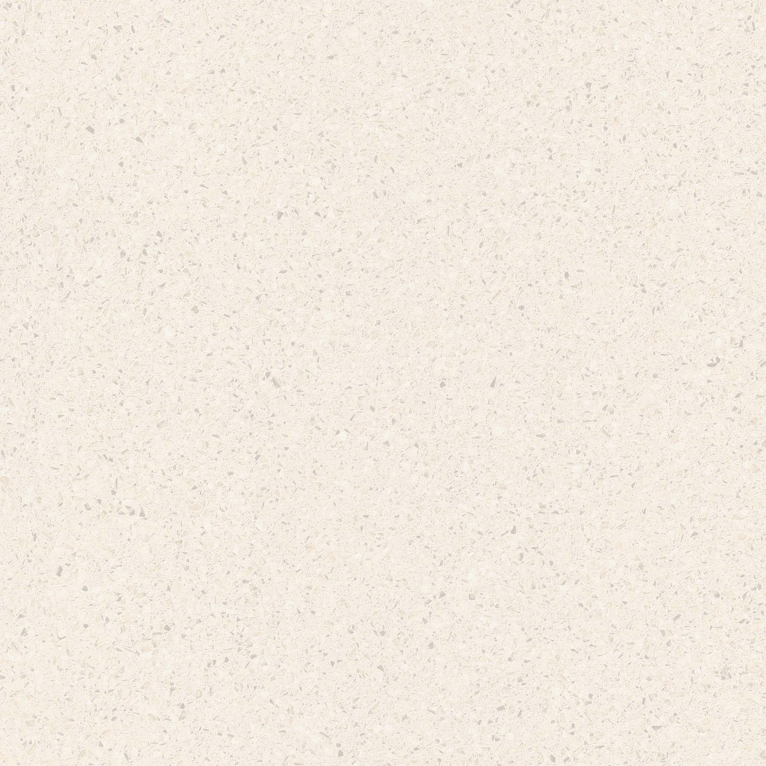 Granite Bianco slab 60 X 60 CM 5