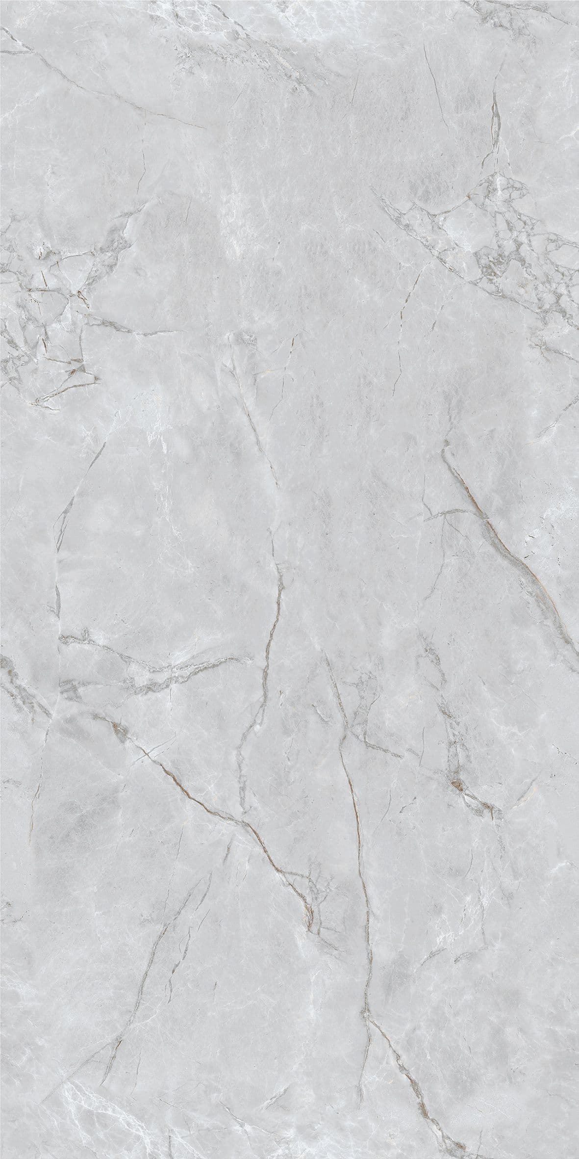 Gambia Light Grey slab 60 X 120 CM 5