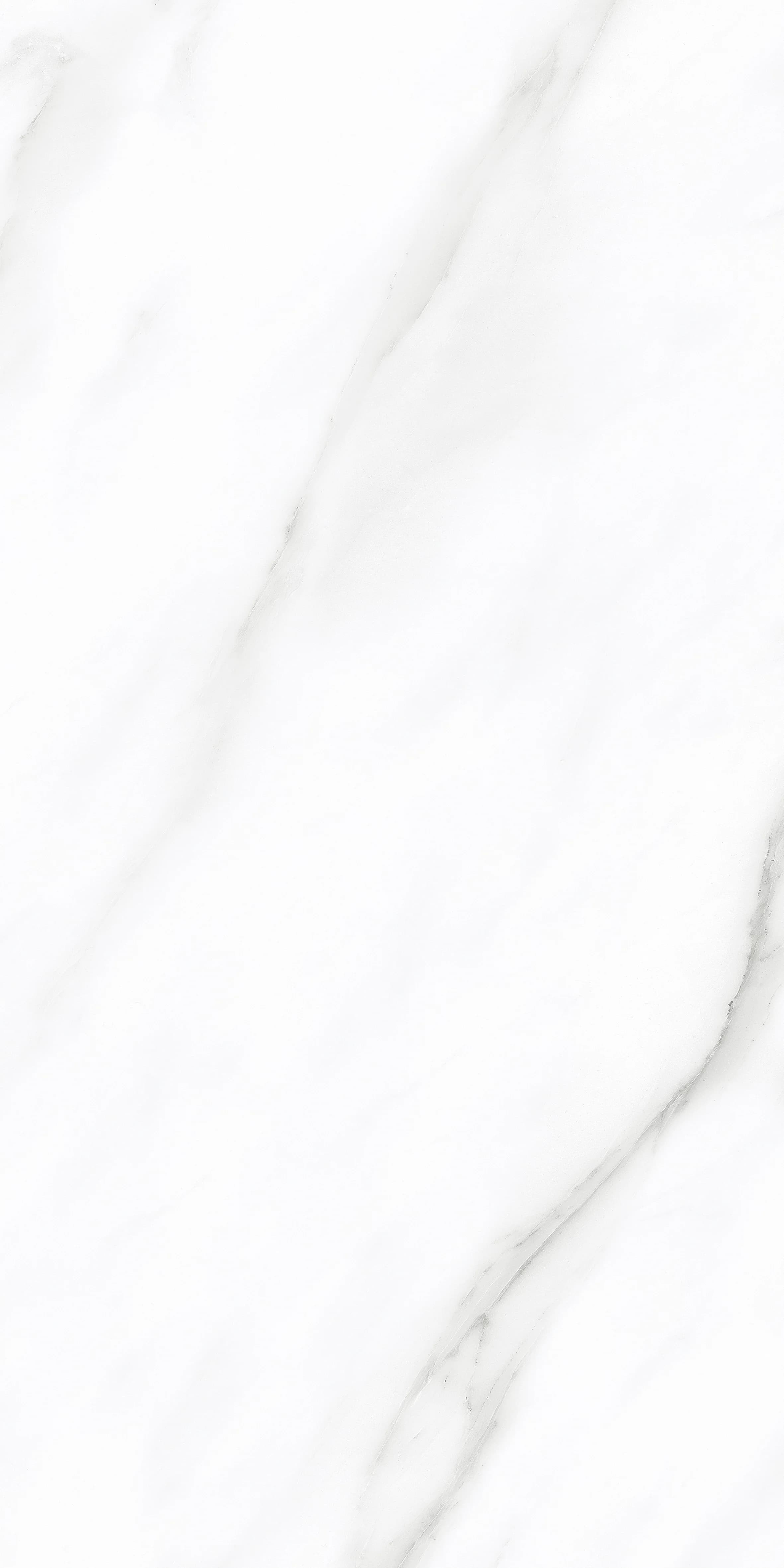 Eider White slab 30 X 60 CM 2