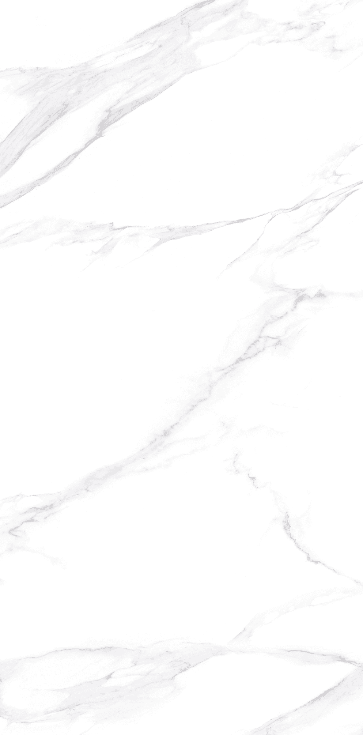 Belluno White slab 120 X 240 CM 3