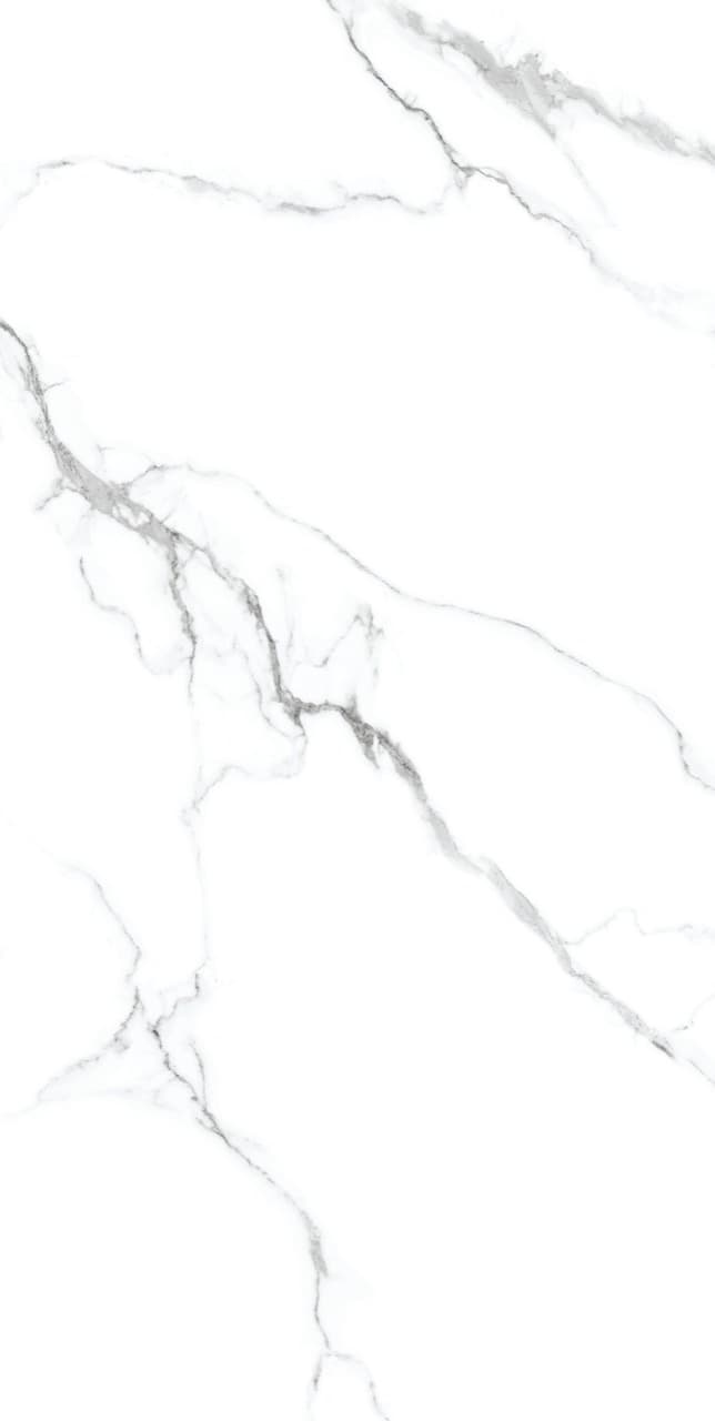Calacatta Silver slab 60 X 120 CM 5