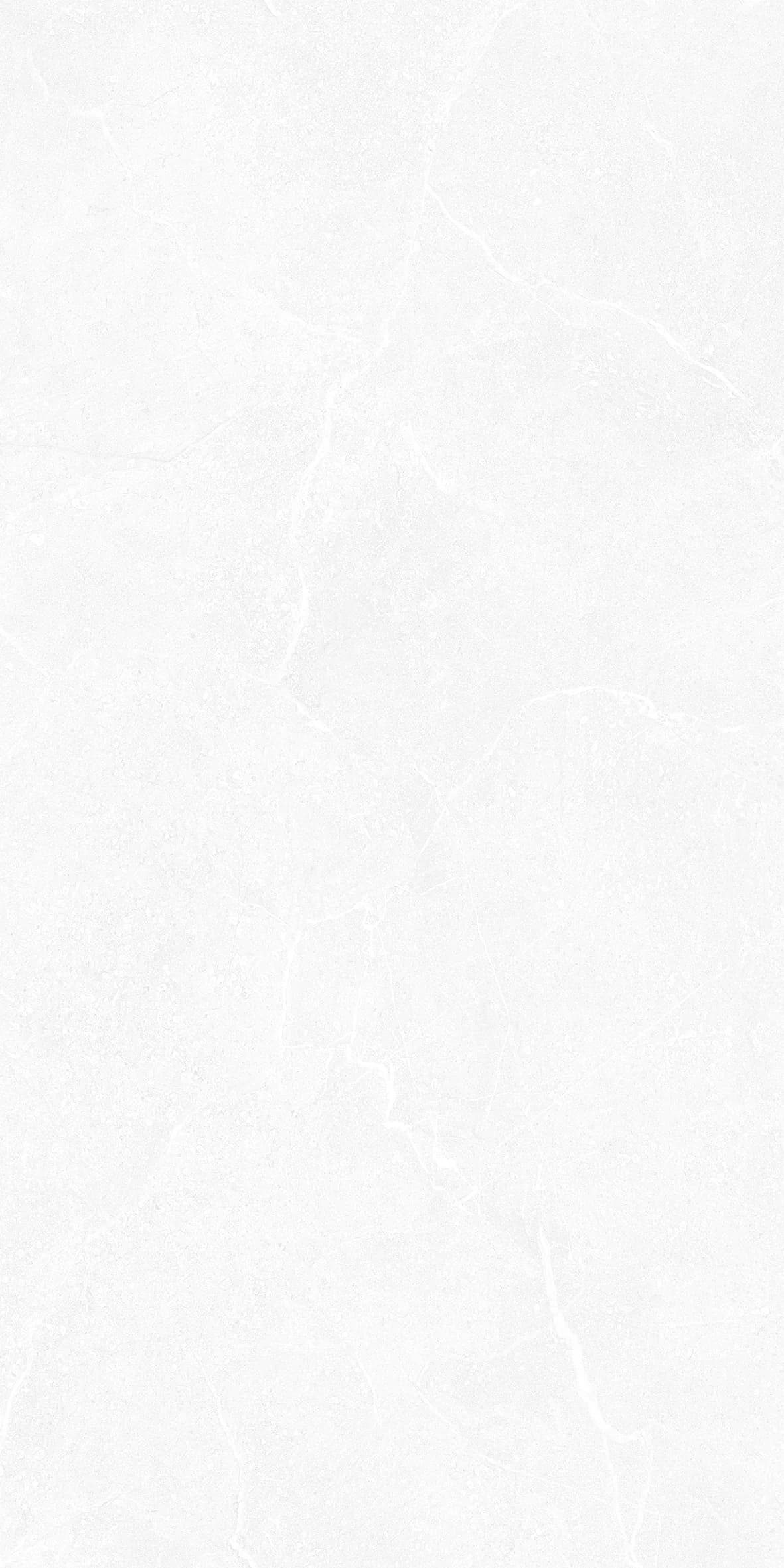 VG Elegant White slab 30 X 60 CM 1