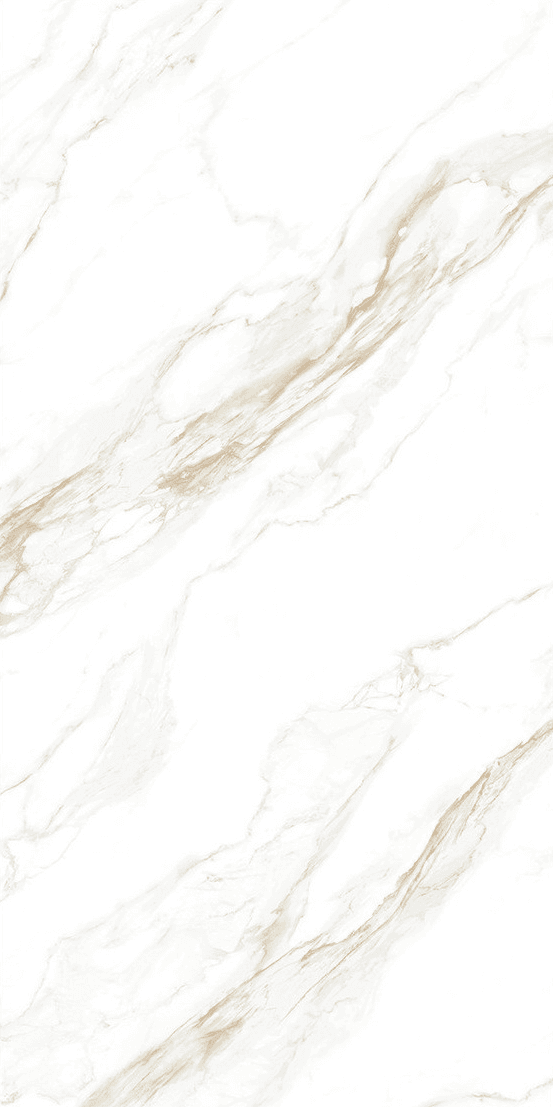 Davos Bianco slab 60 X 120 CM 4