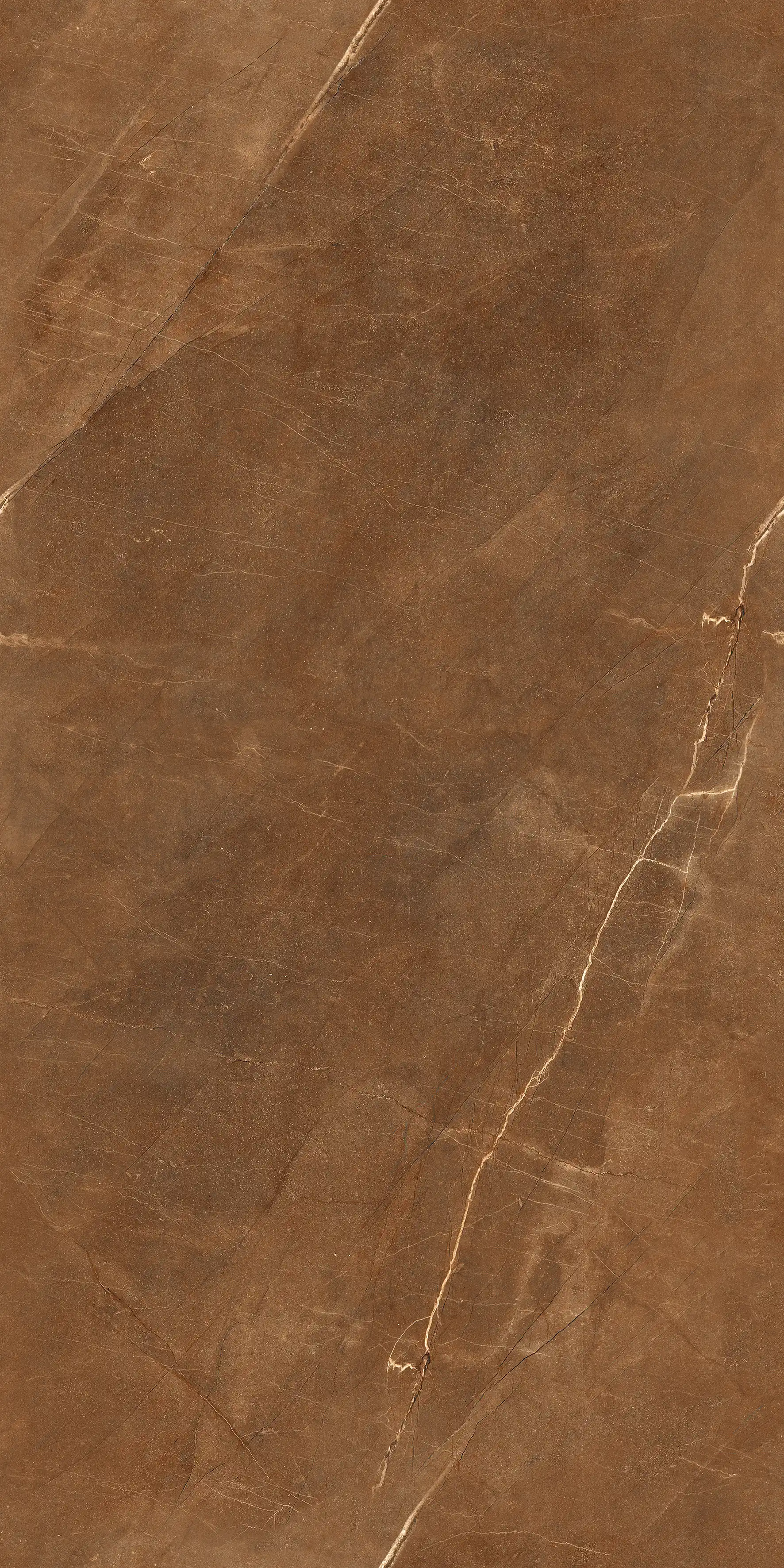 Omario Brown slab 60 X 120 CM 4