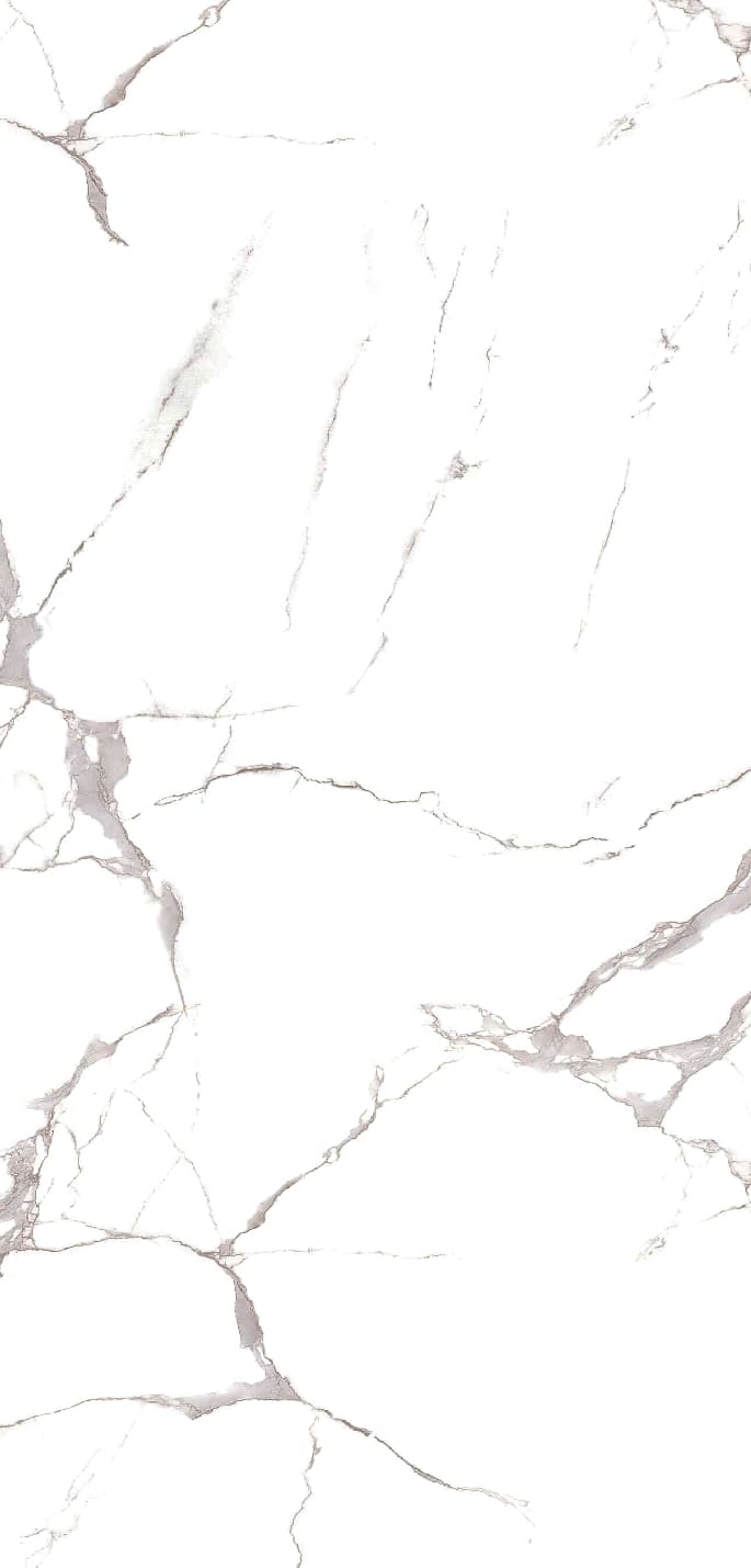 Statuario Grey slab 120 X 60 CM 2