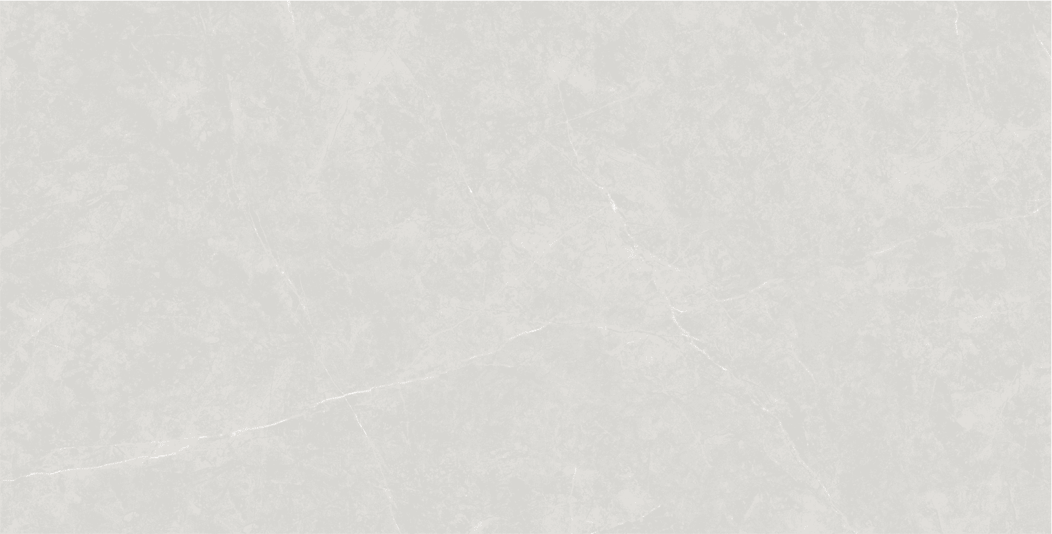 Anzio Light Grey slab 60 X 120 CM 7