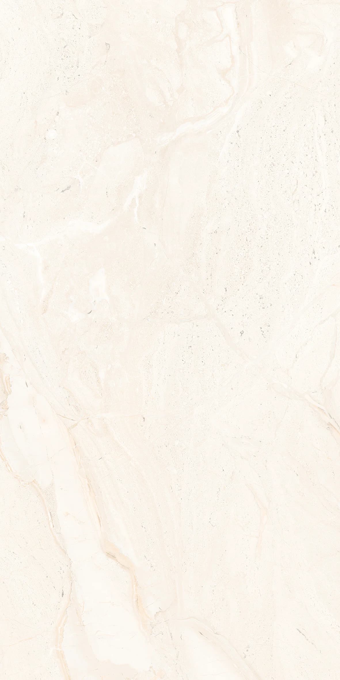 VG Breccia Golden slab 30 X 60 CM 2
