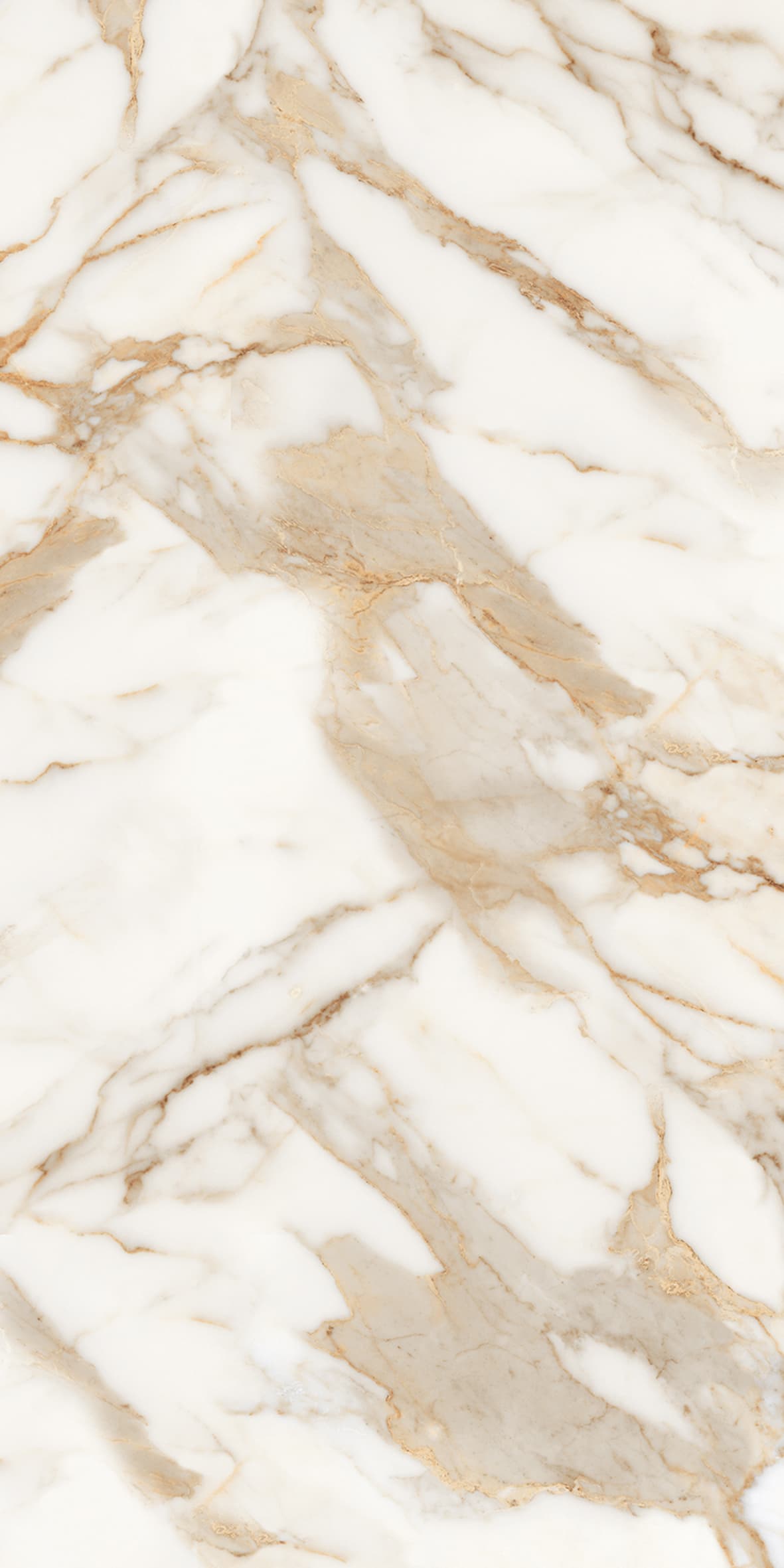 Alpine Gold slab 60 X 120 CM 6