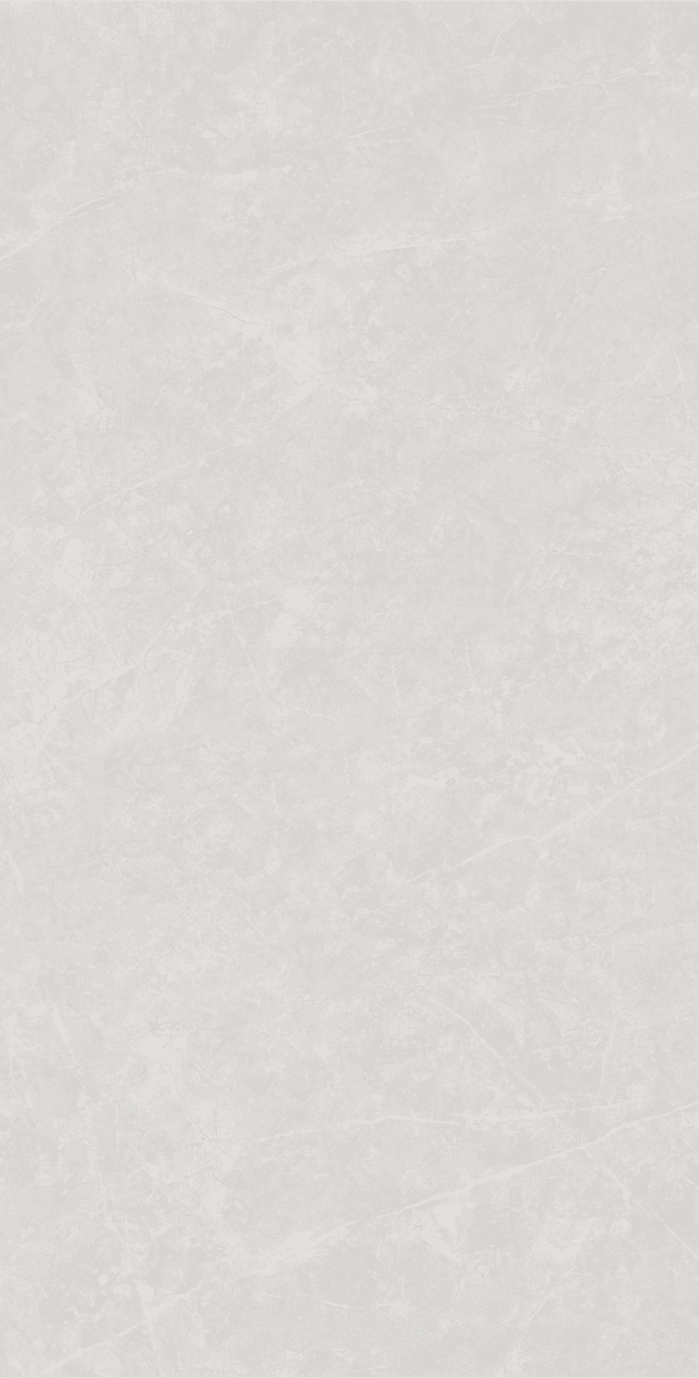 Anzio Light Grey slab 120 X 60 CM 6