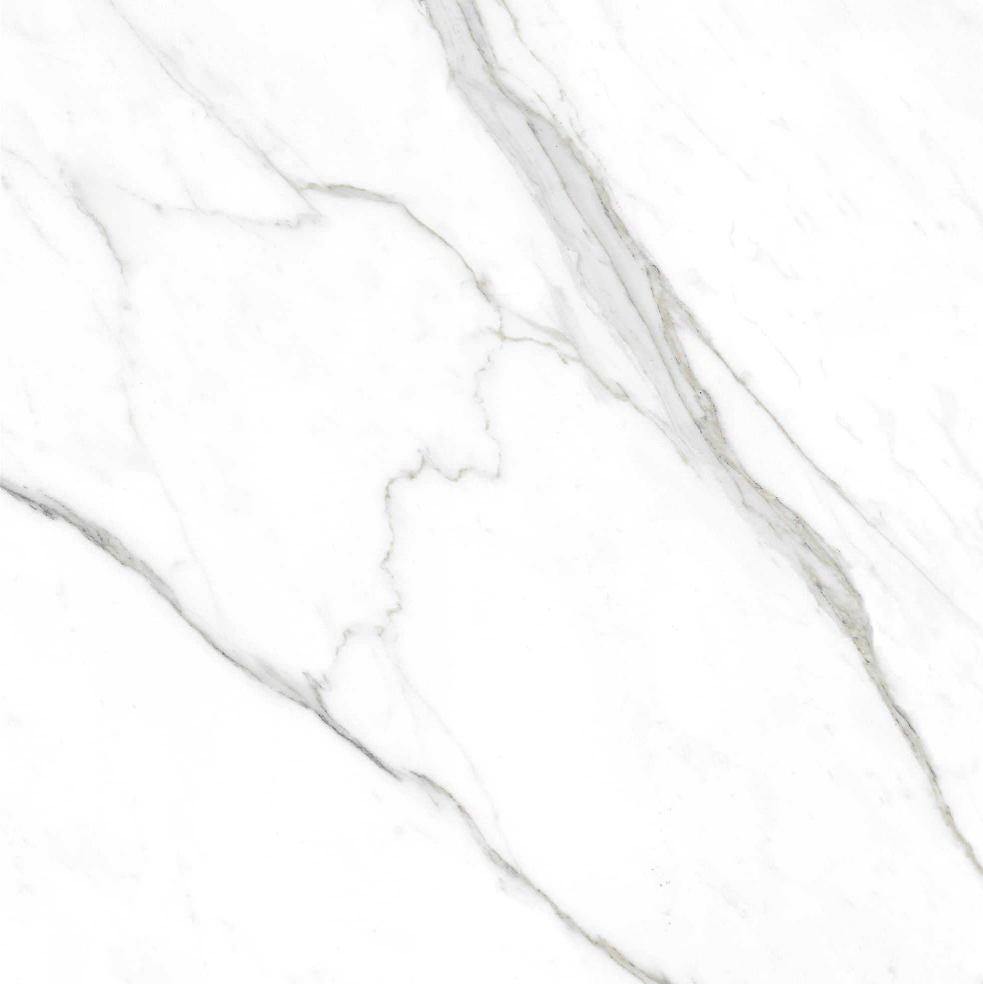 Bianco Forza slab 100 X 100 CM 3