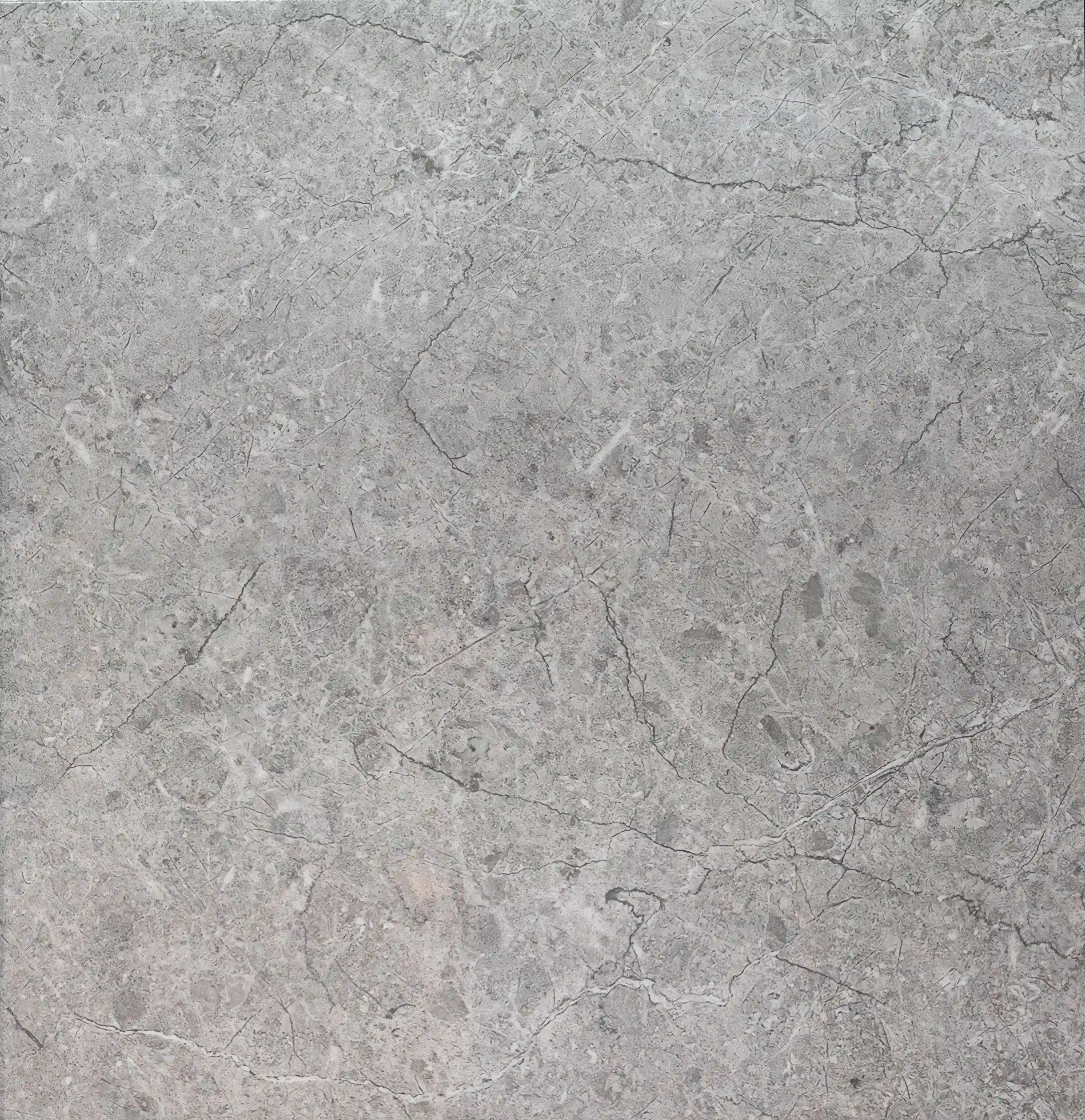 Arctic Grey slab 60 X 60 CM 1