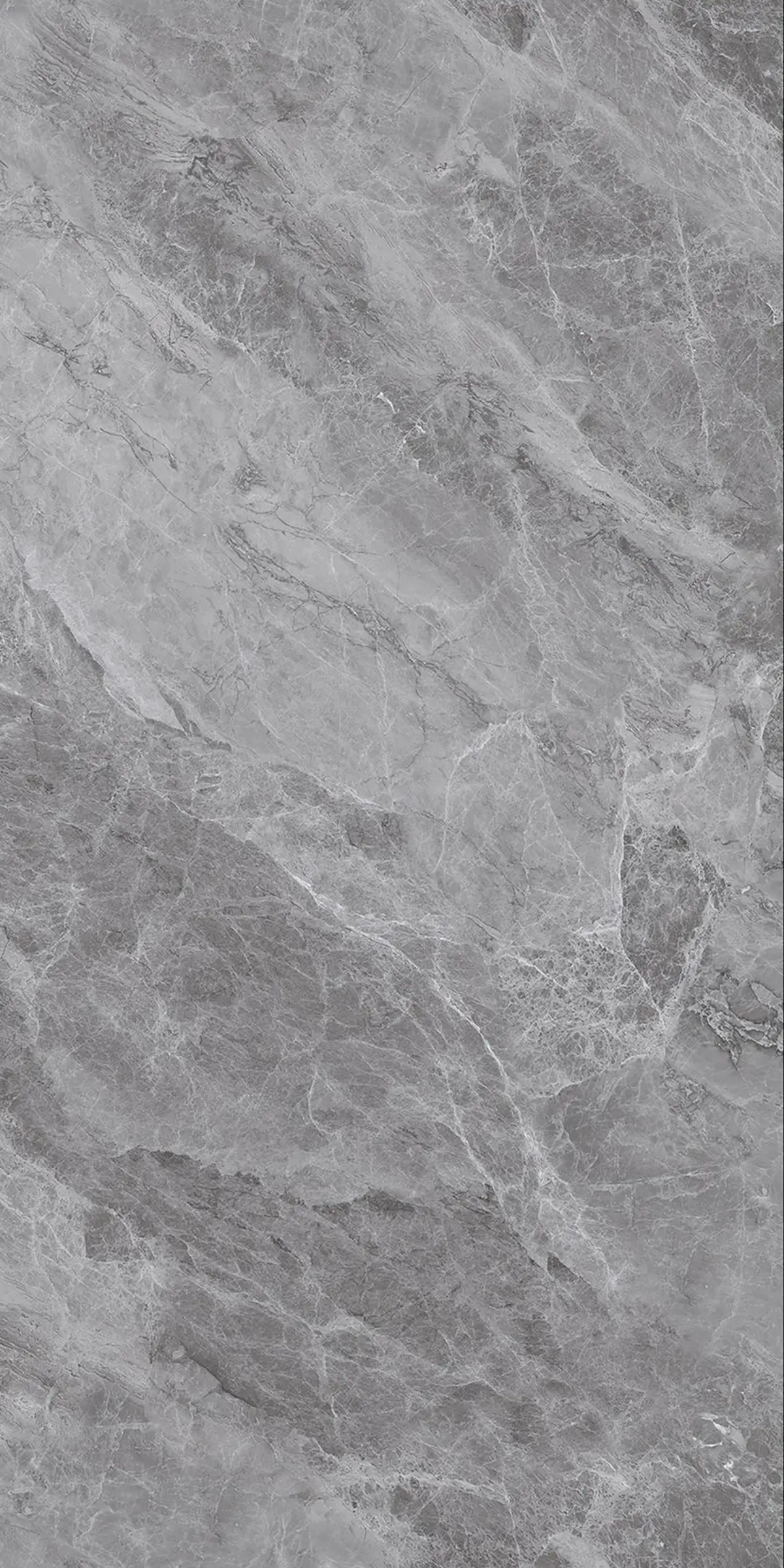 Alexandria Grey slab 120 X 240 CM 2