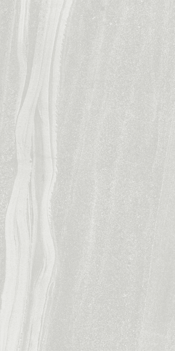 Veneto Cenere slab 60 X 120 CM 2