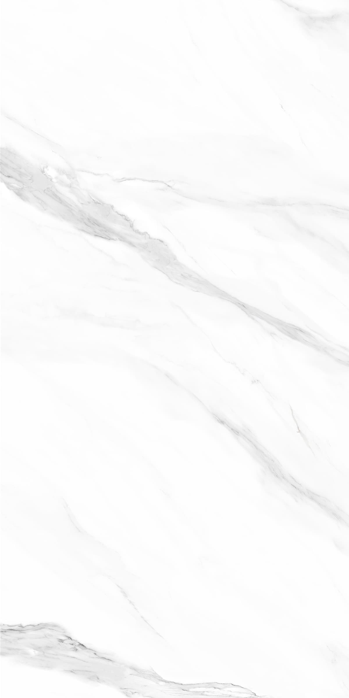 Siberian White slab 120 X 240 CM 2