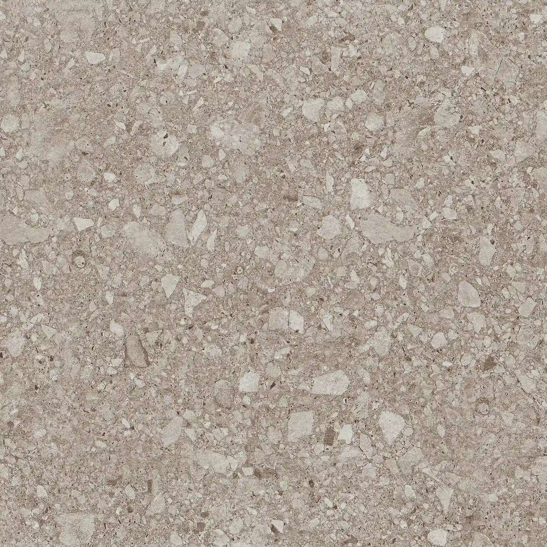 Alila Stone Taupe slab 60 X 60 CM 1