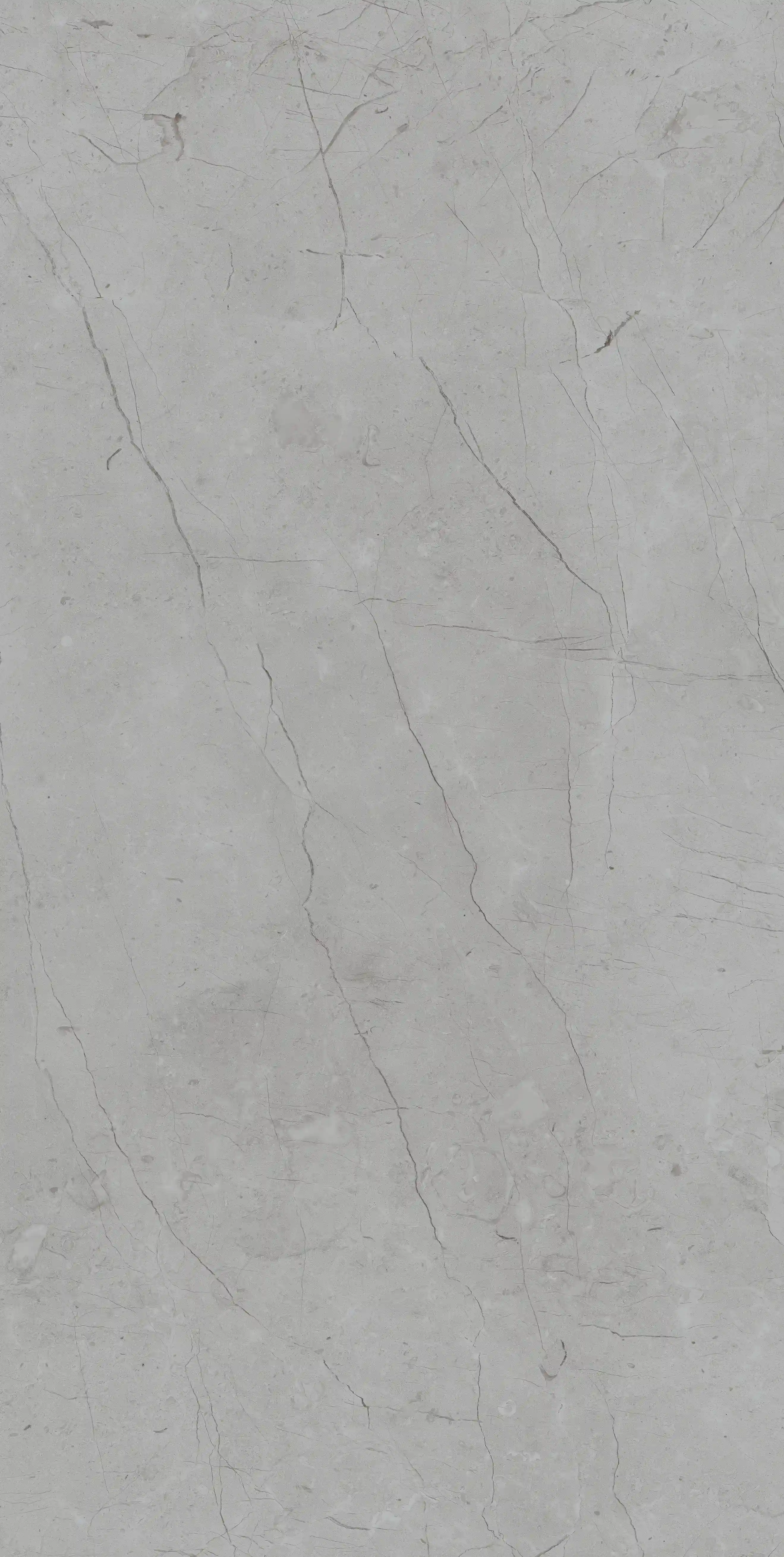 Munich Marble Cream slab 120 X 60 CM 3