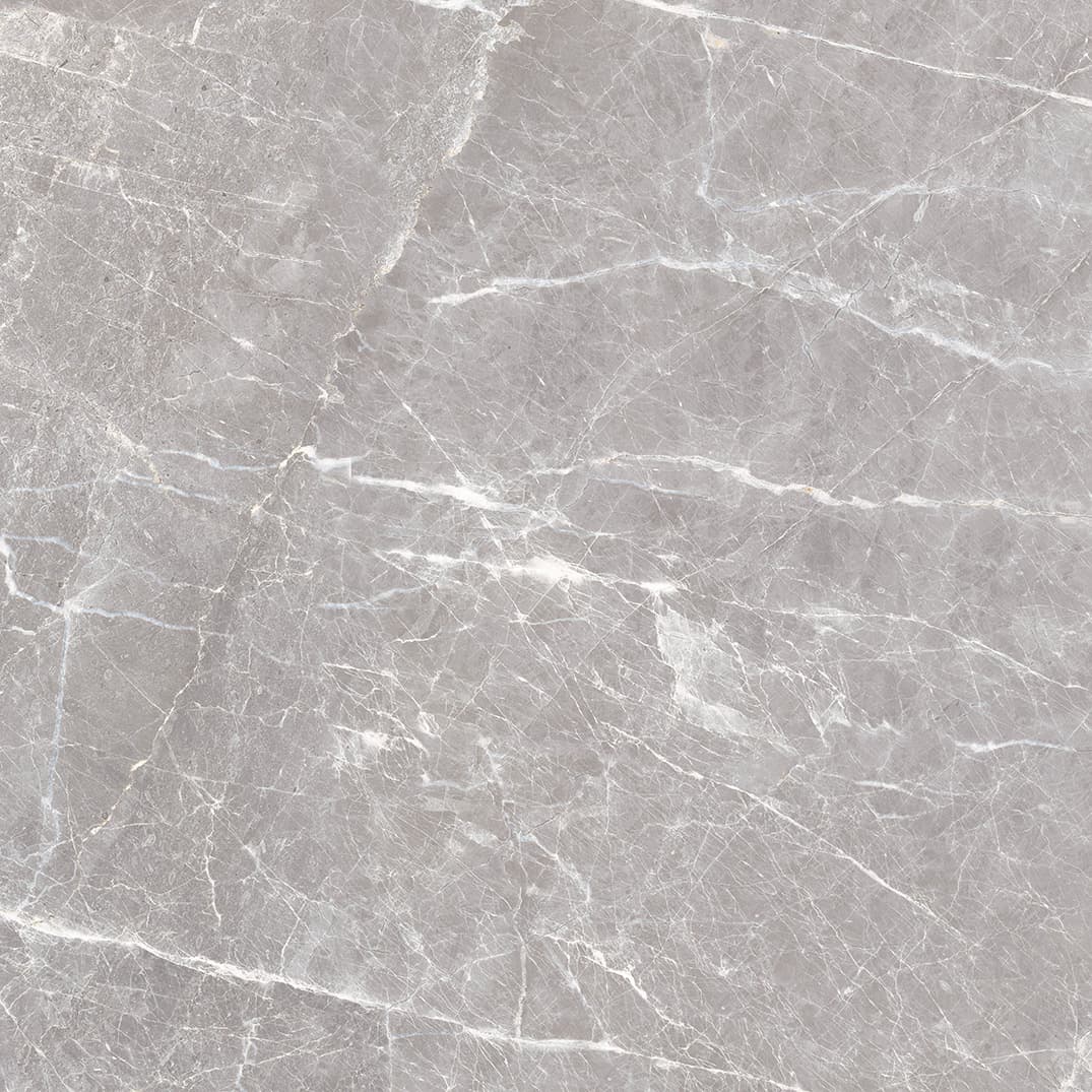 Manhattan Grey slab 80 X 80 CM 4