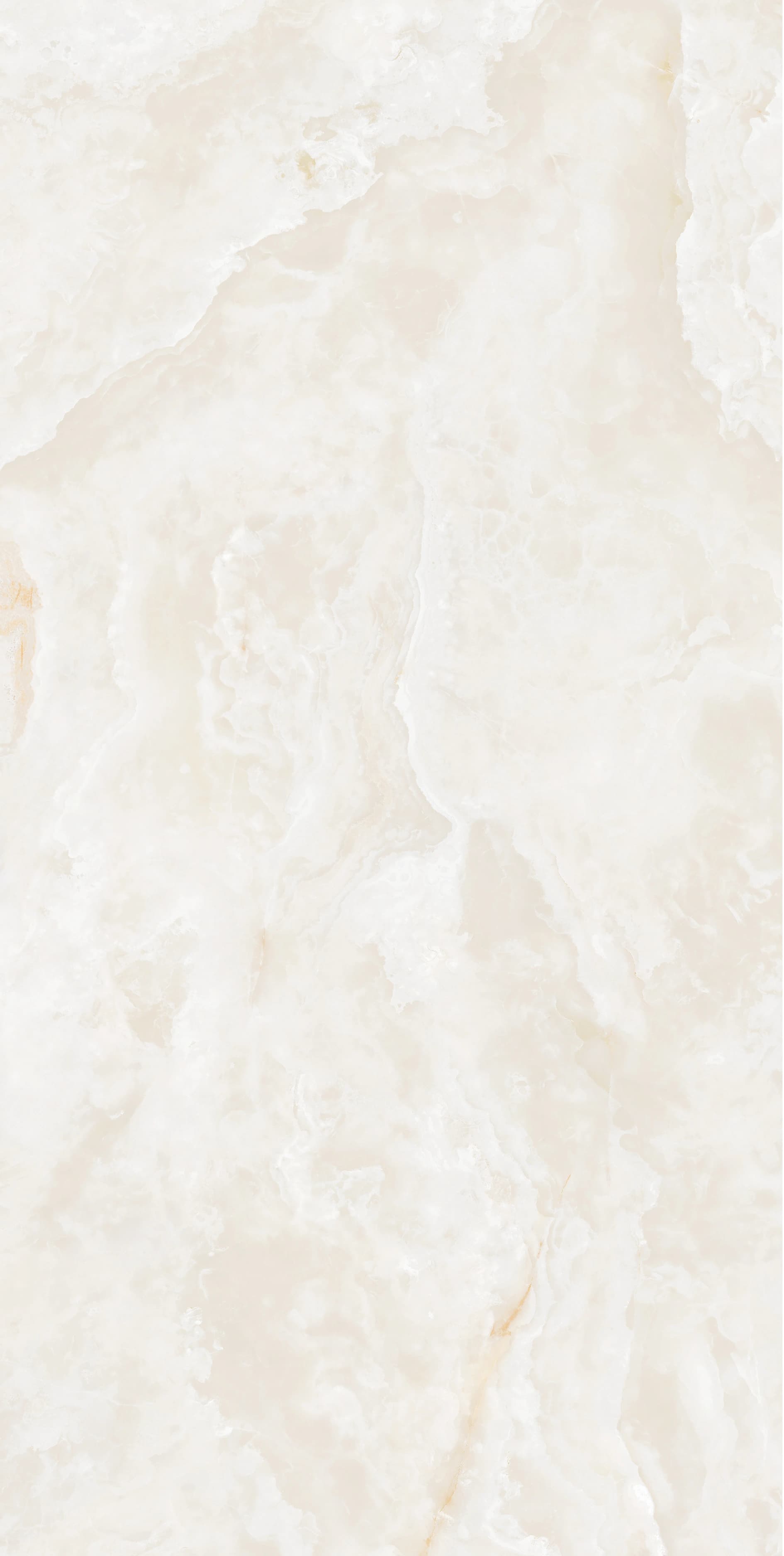 Cortina Bianco slab 240 X 120 CM 1