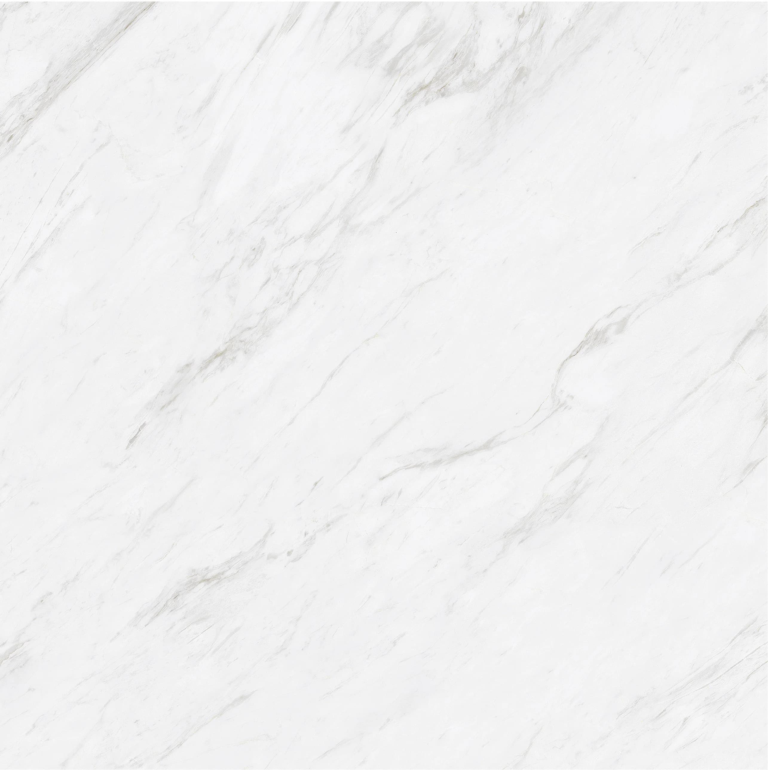 Carrara Bianco slab 80 X 80 CM 5