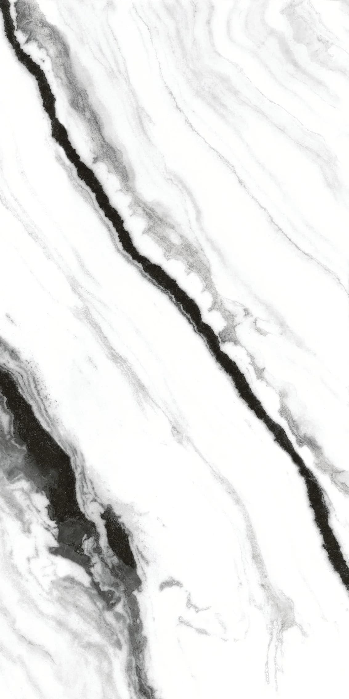 Carrara Nero slab 60 X 120 CM 5
