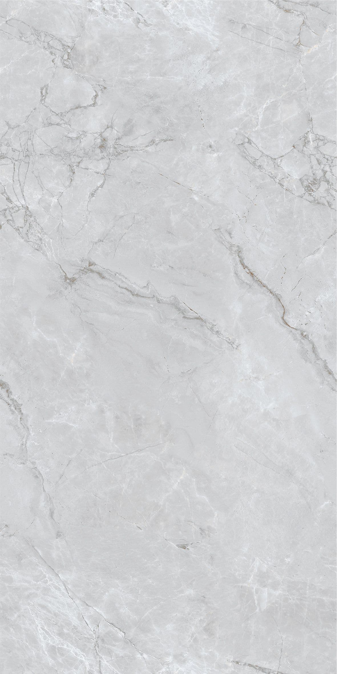 Gambia Light Grey slab 60 X 120 CM 4