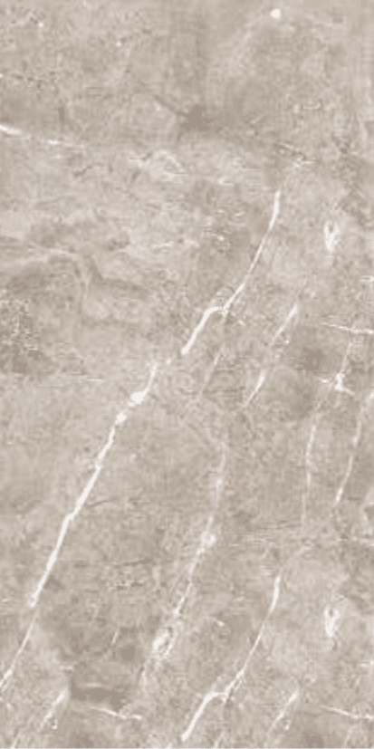 Ebony Dark Grey slab 60 X 120 CM 4