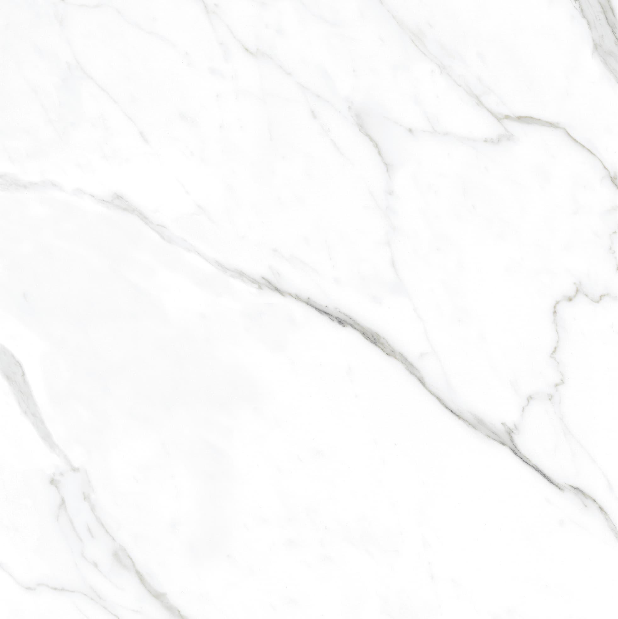 Bianco Forza slab 100 X 100 CM 1
