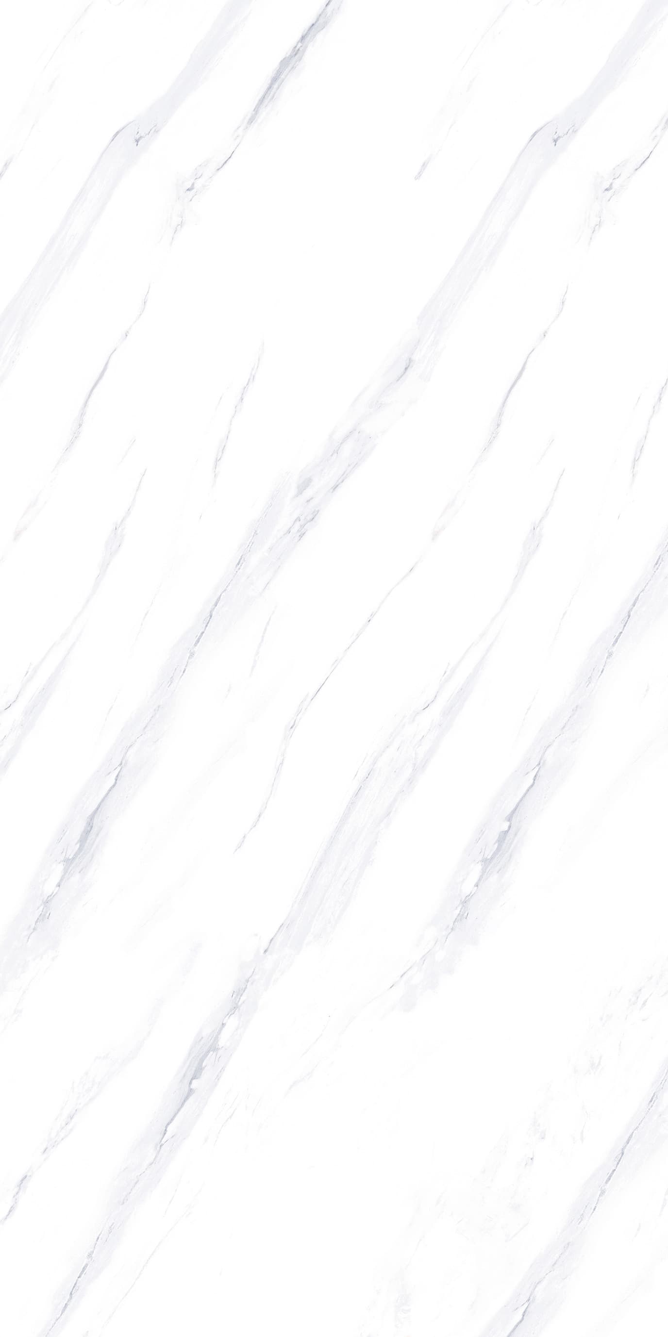 Bologna White slab 60 X 120 CM 2