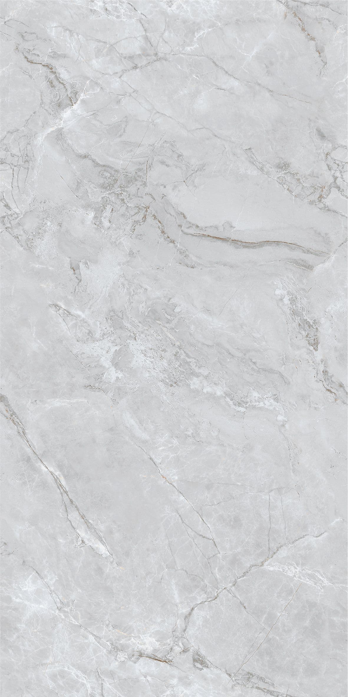 Gambia Light Grey slab 60 X 120 CM 1