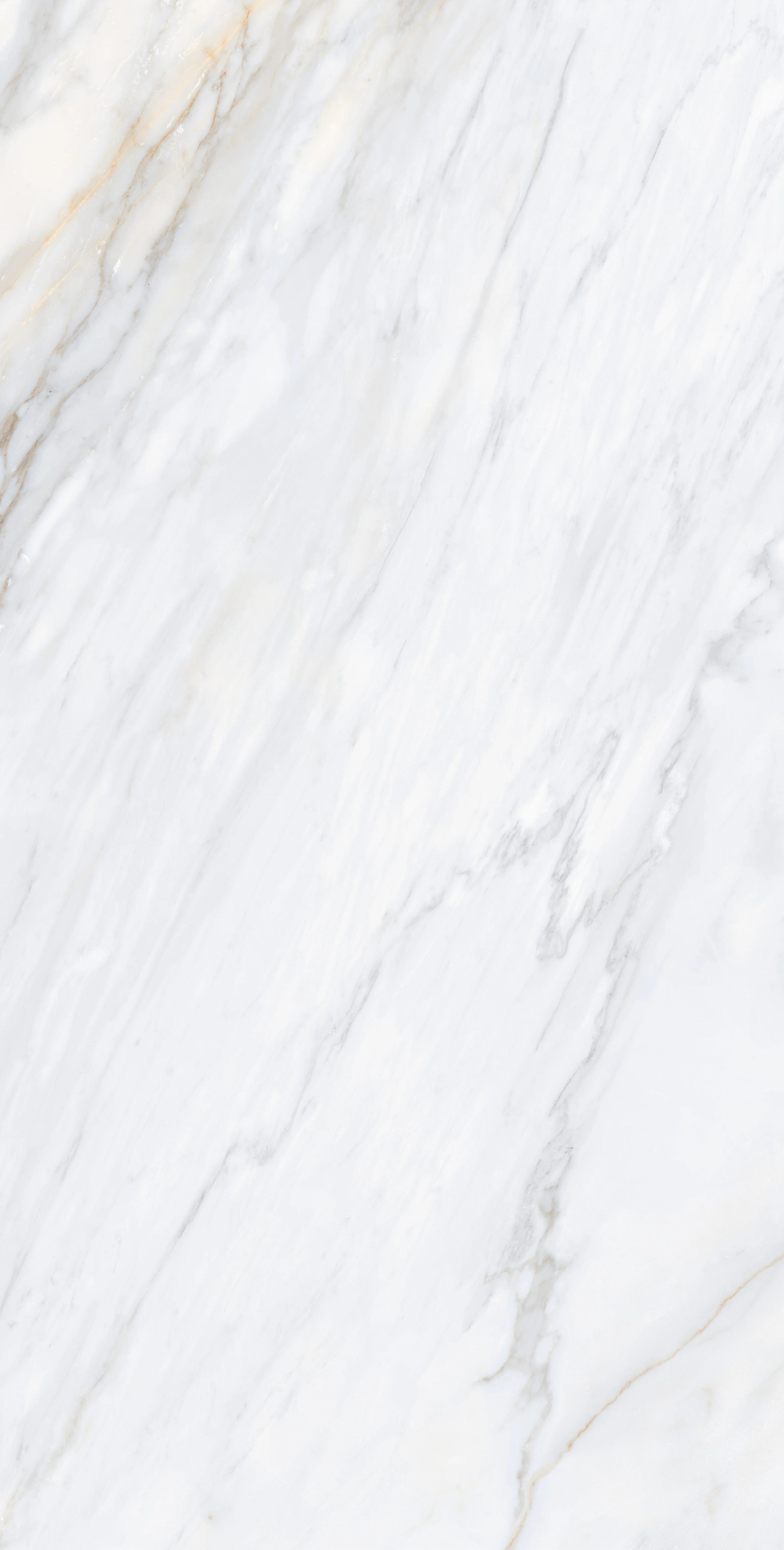 Oglio Bianco Satin slab 90 X 180 CM | 60 X 120 CM 6